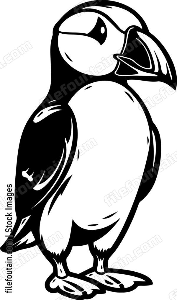 Puffin
