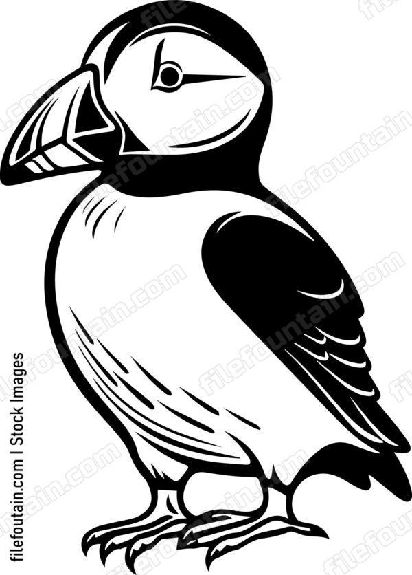 Puffin