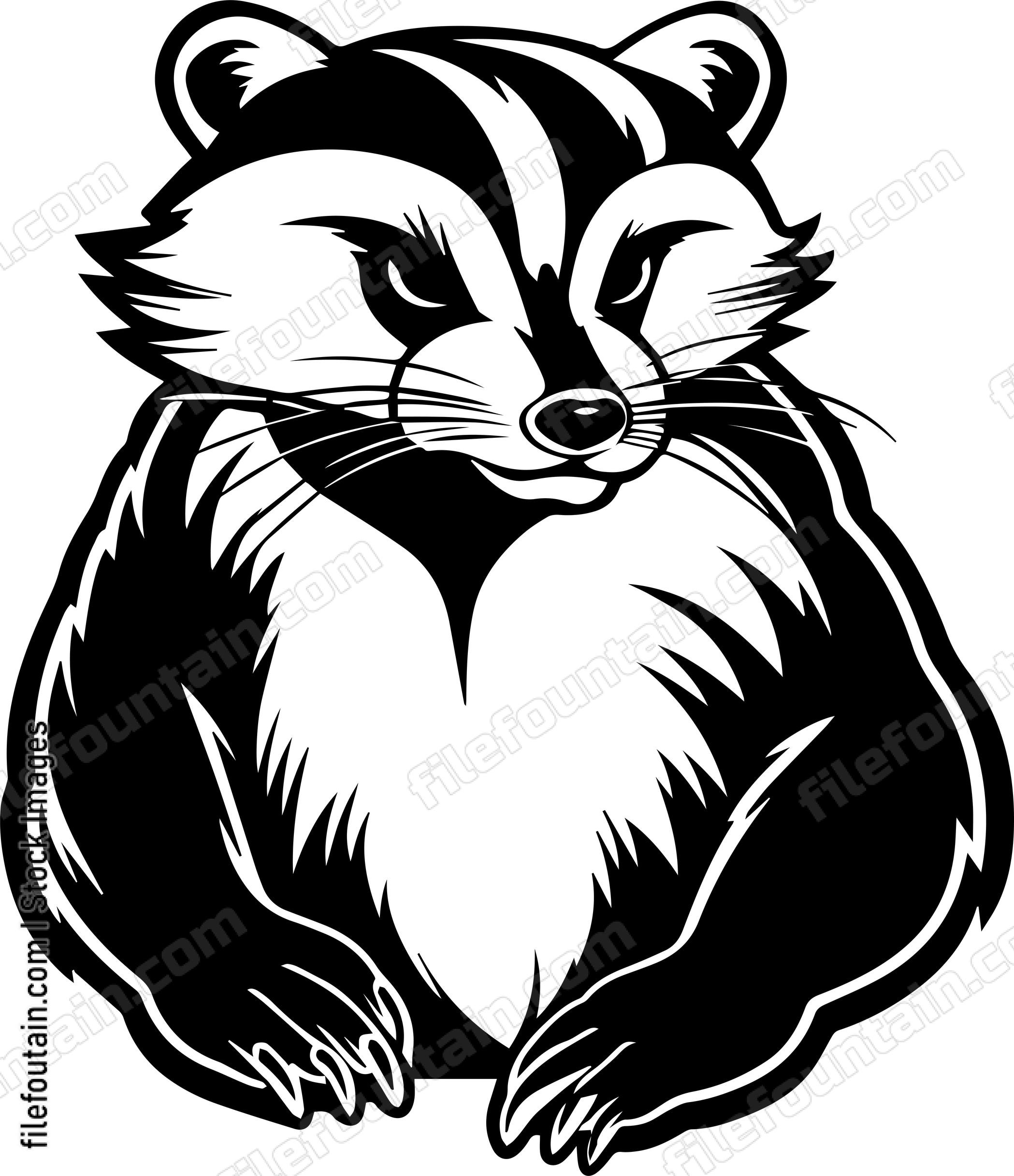 Raccoon Mascot