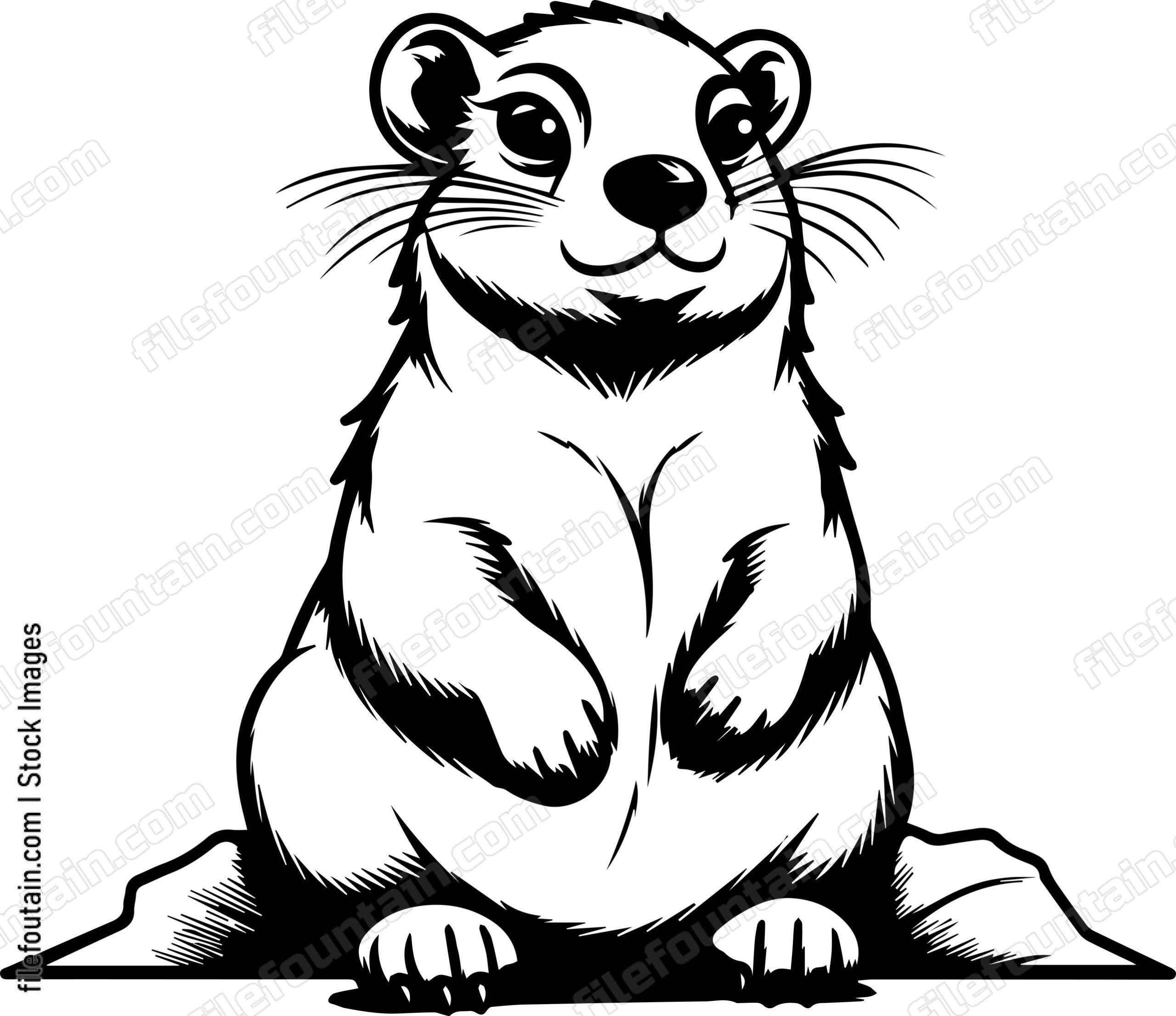 Rock Hyrax