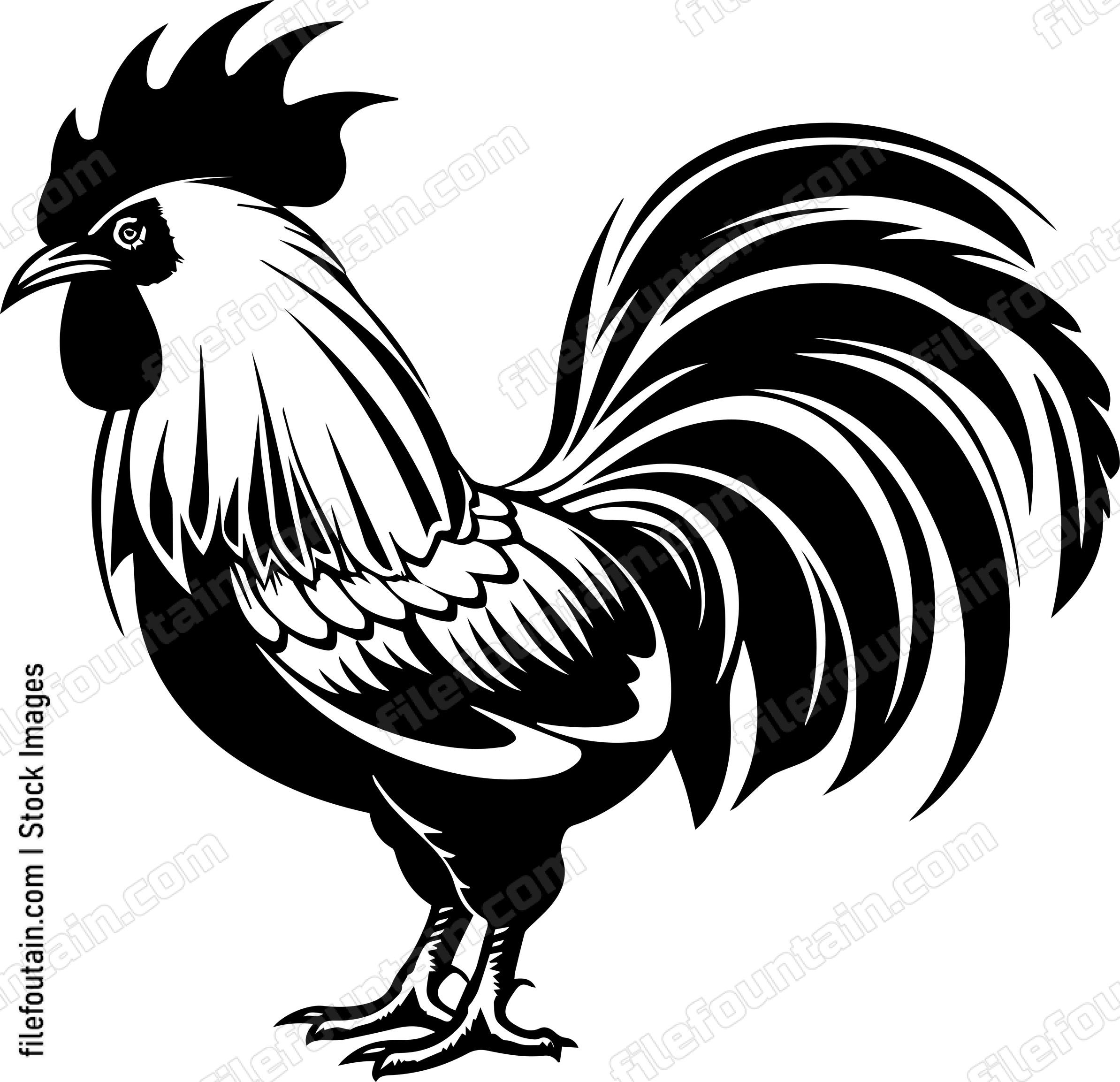 Rooster