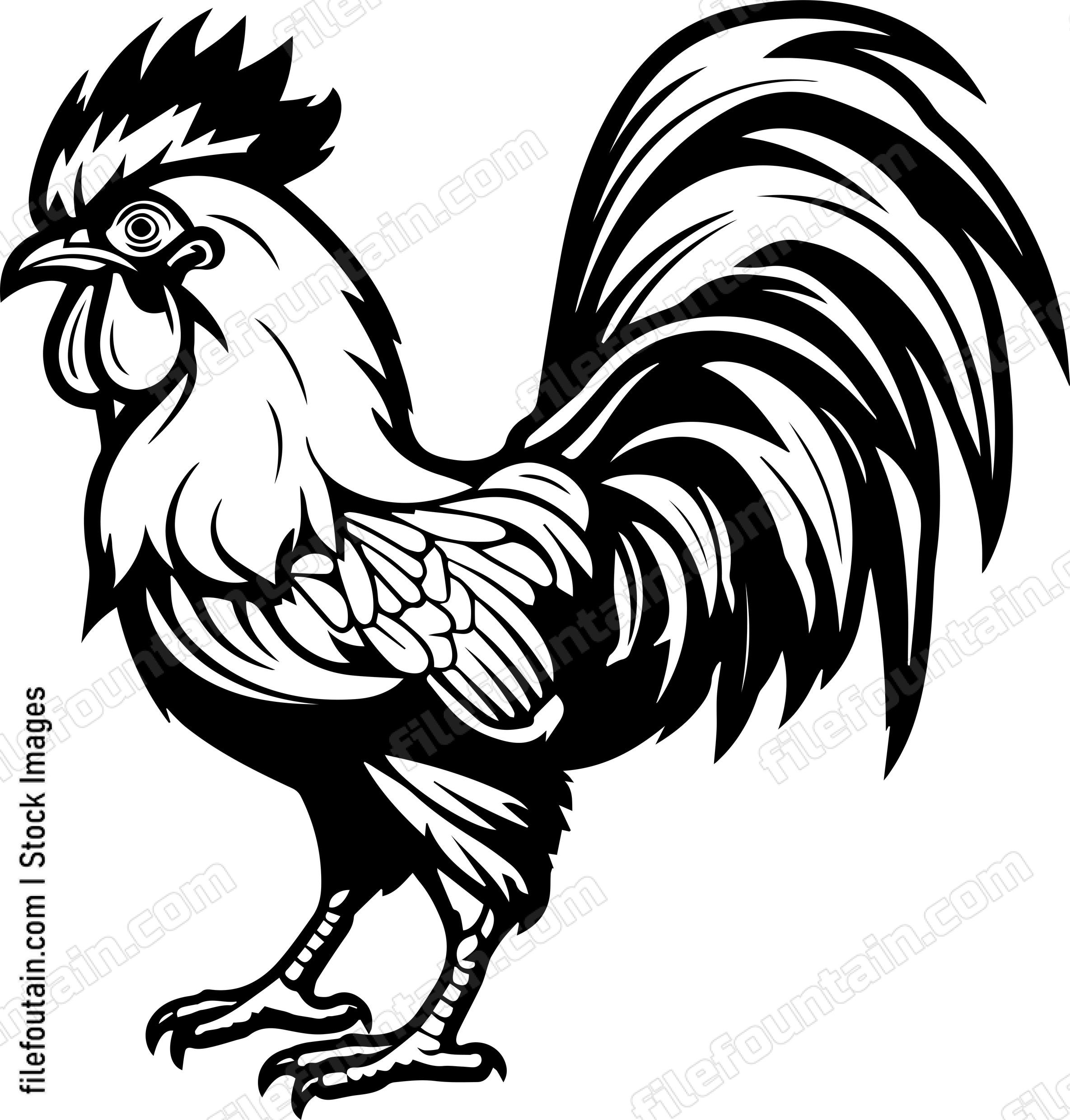 Rooster