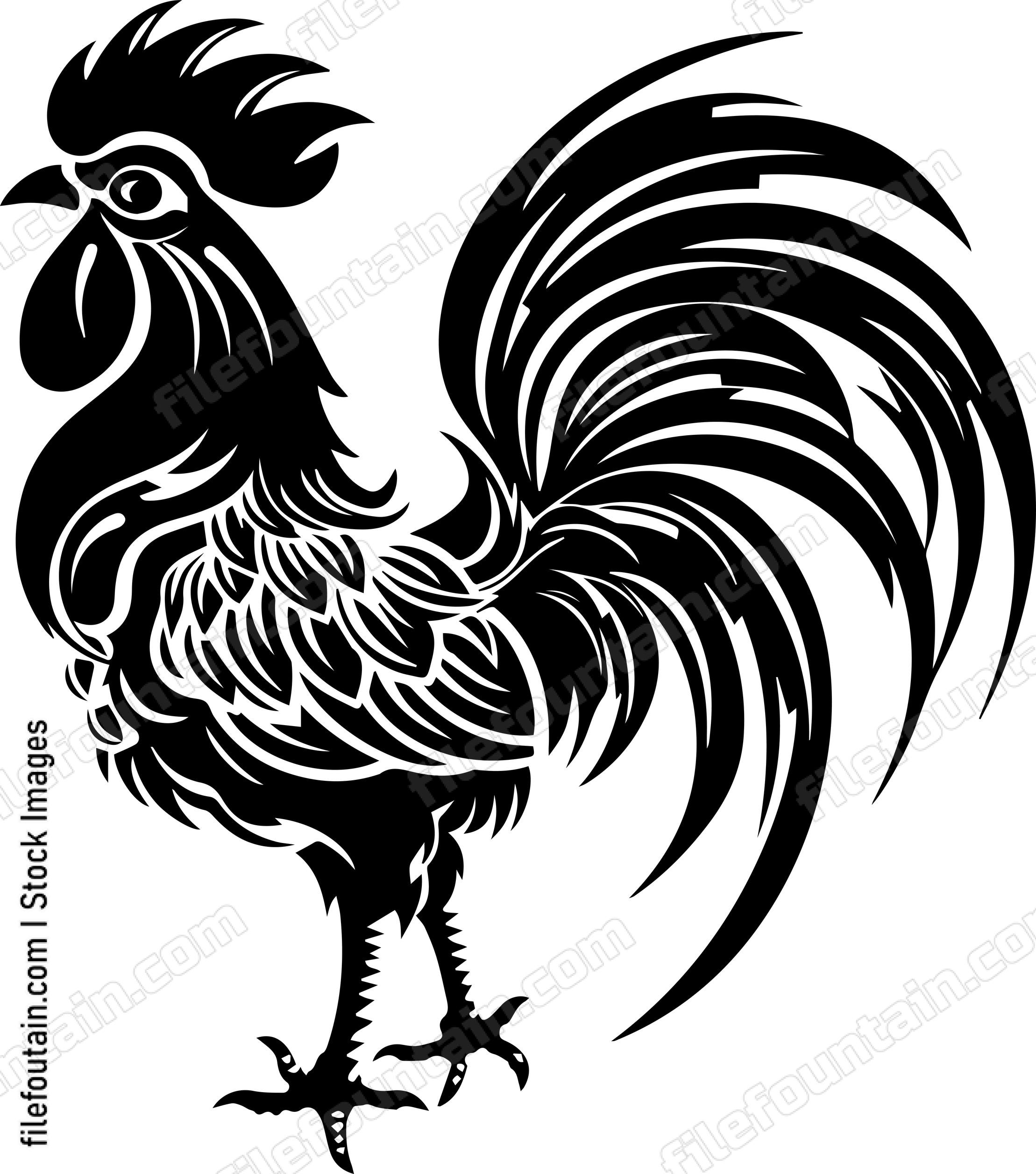 Rooster
