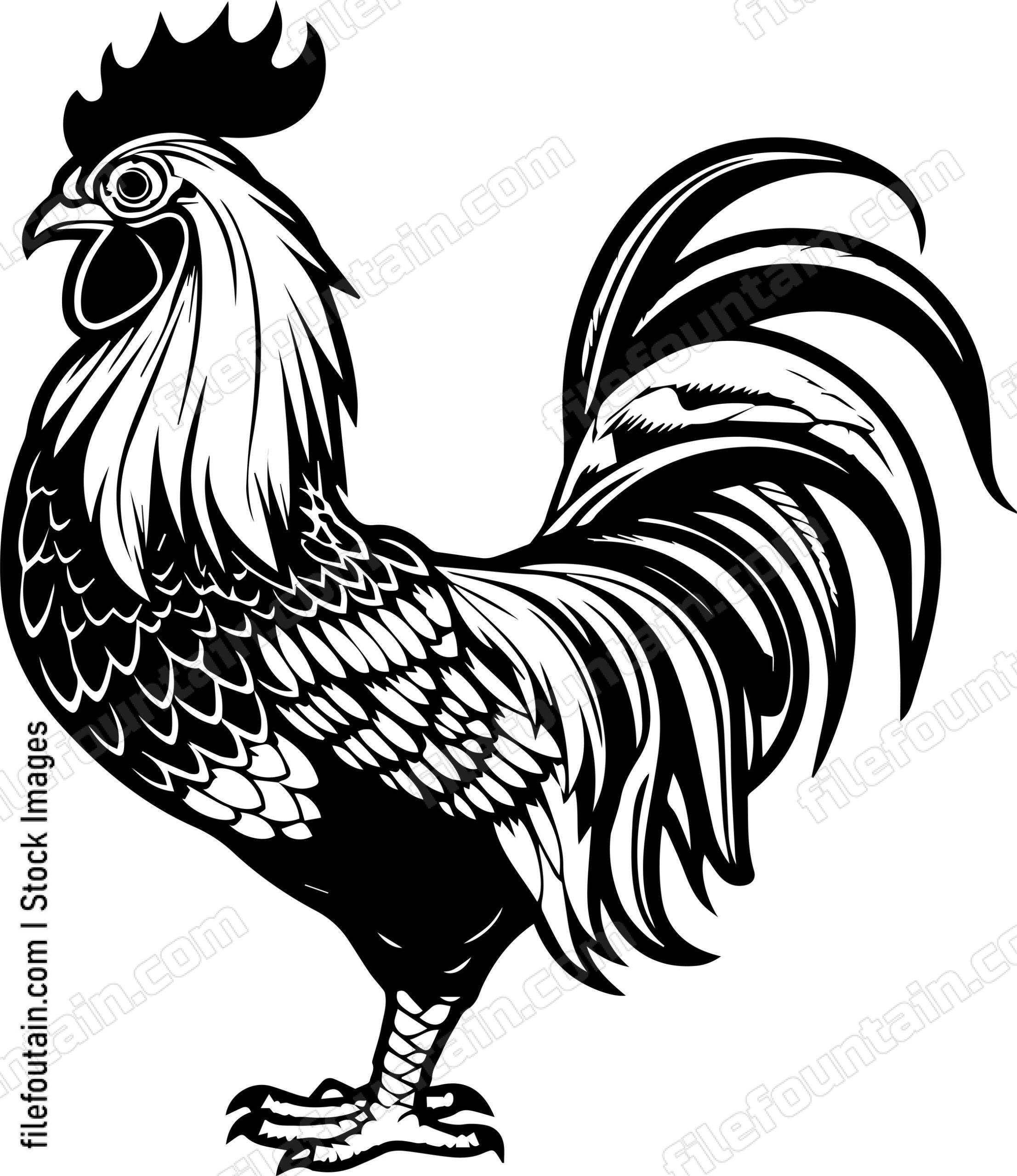 Rooster