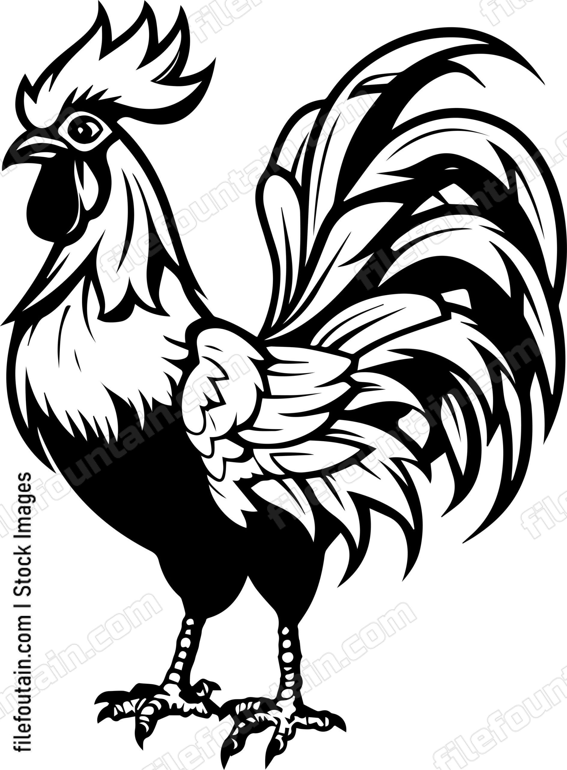 Rooster