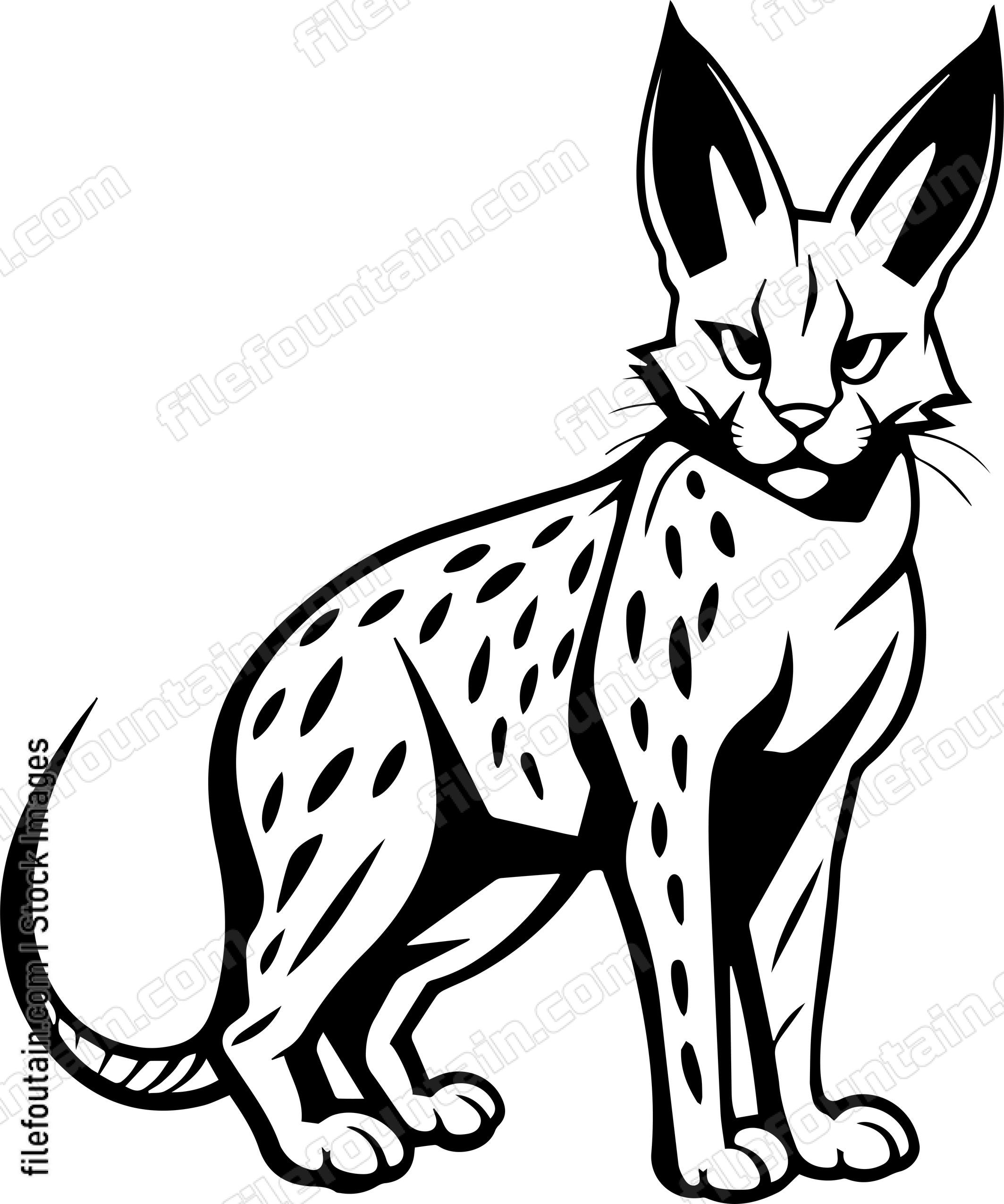 Serval Cat