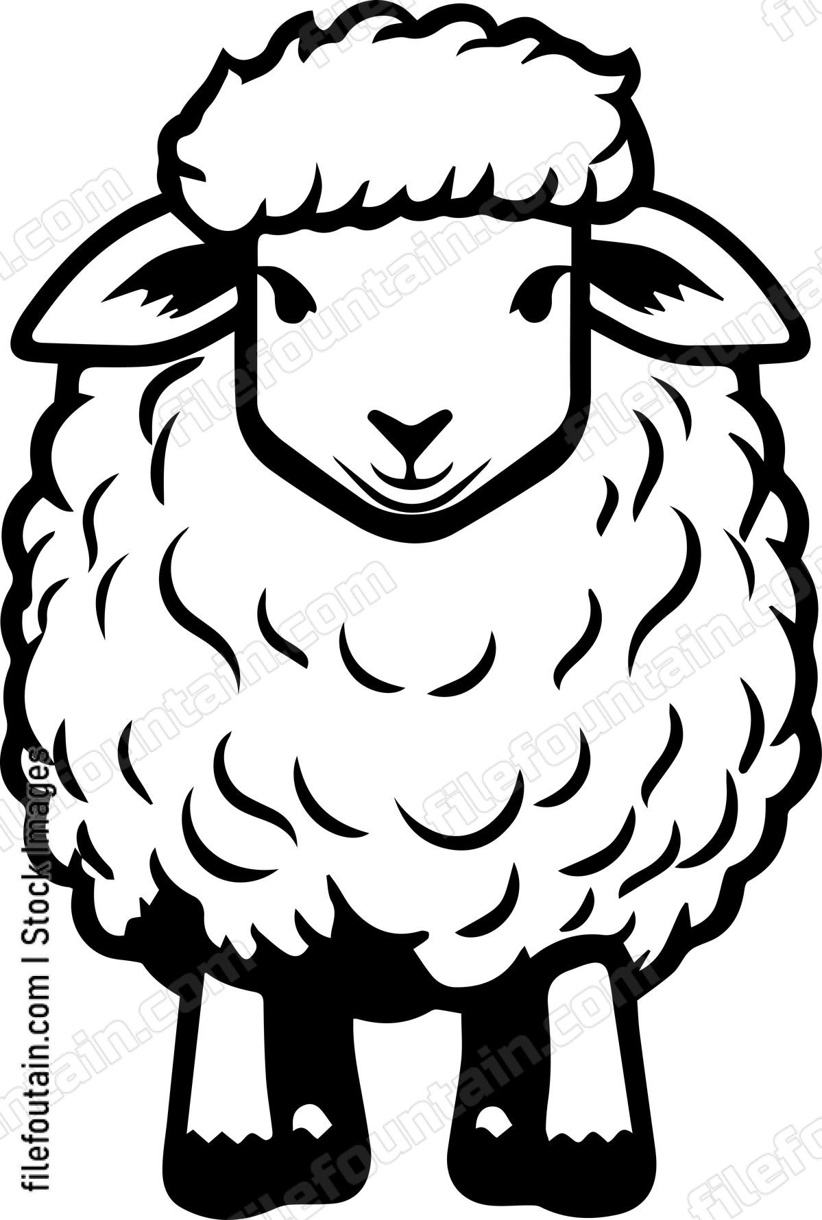 Sheep