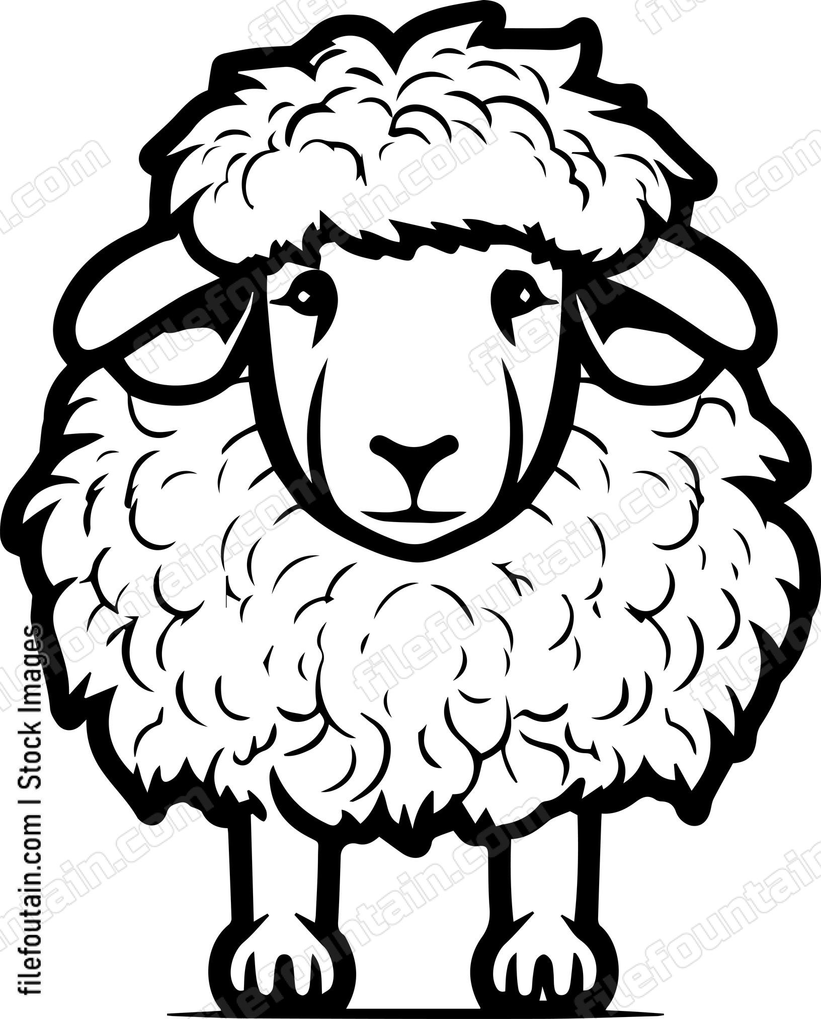 Sheep