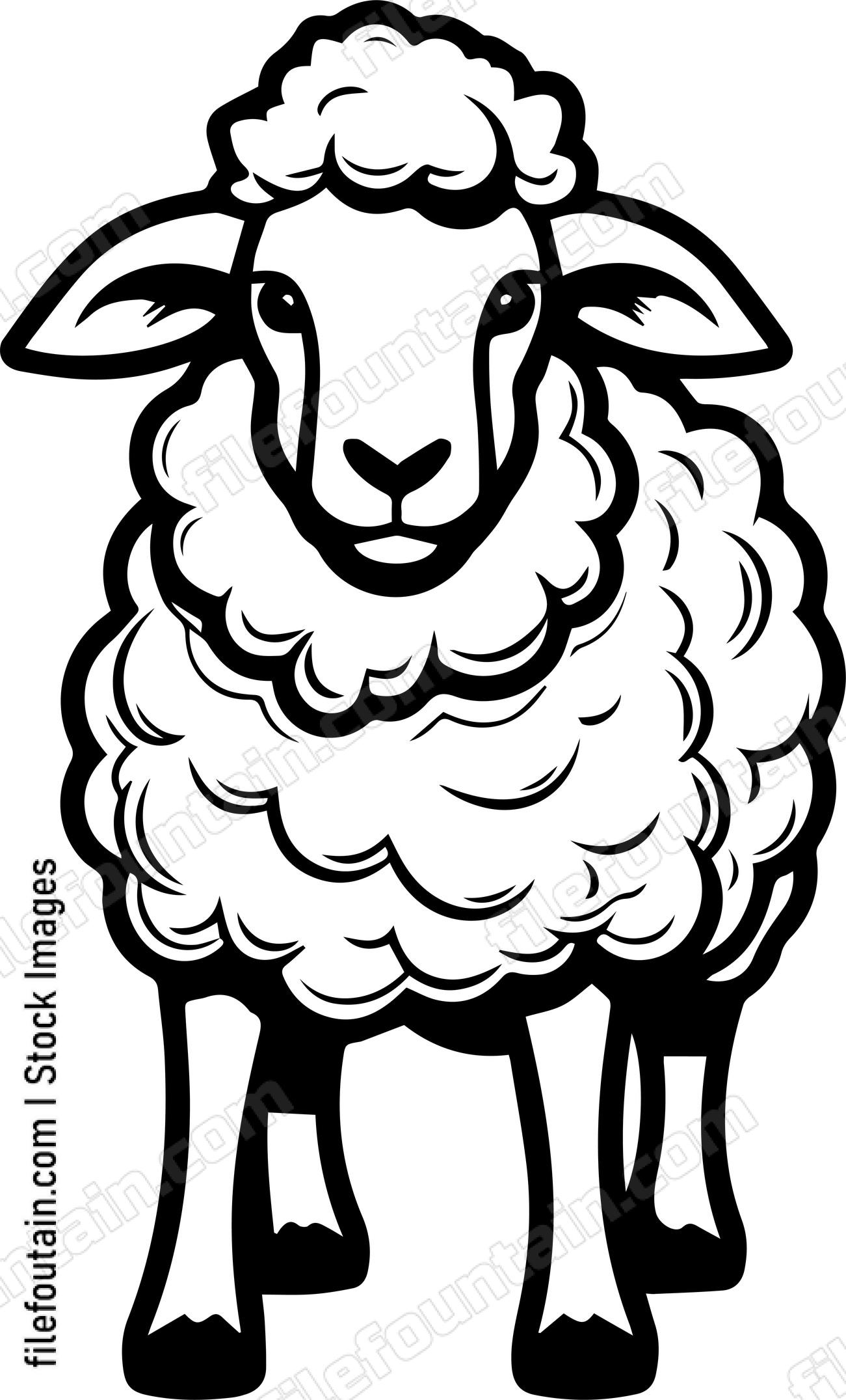 Sheep
