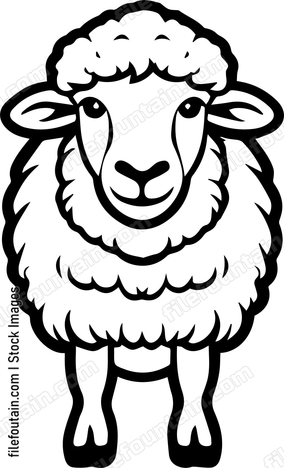Sheep