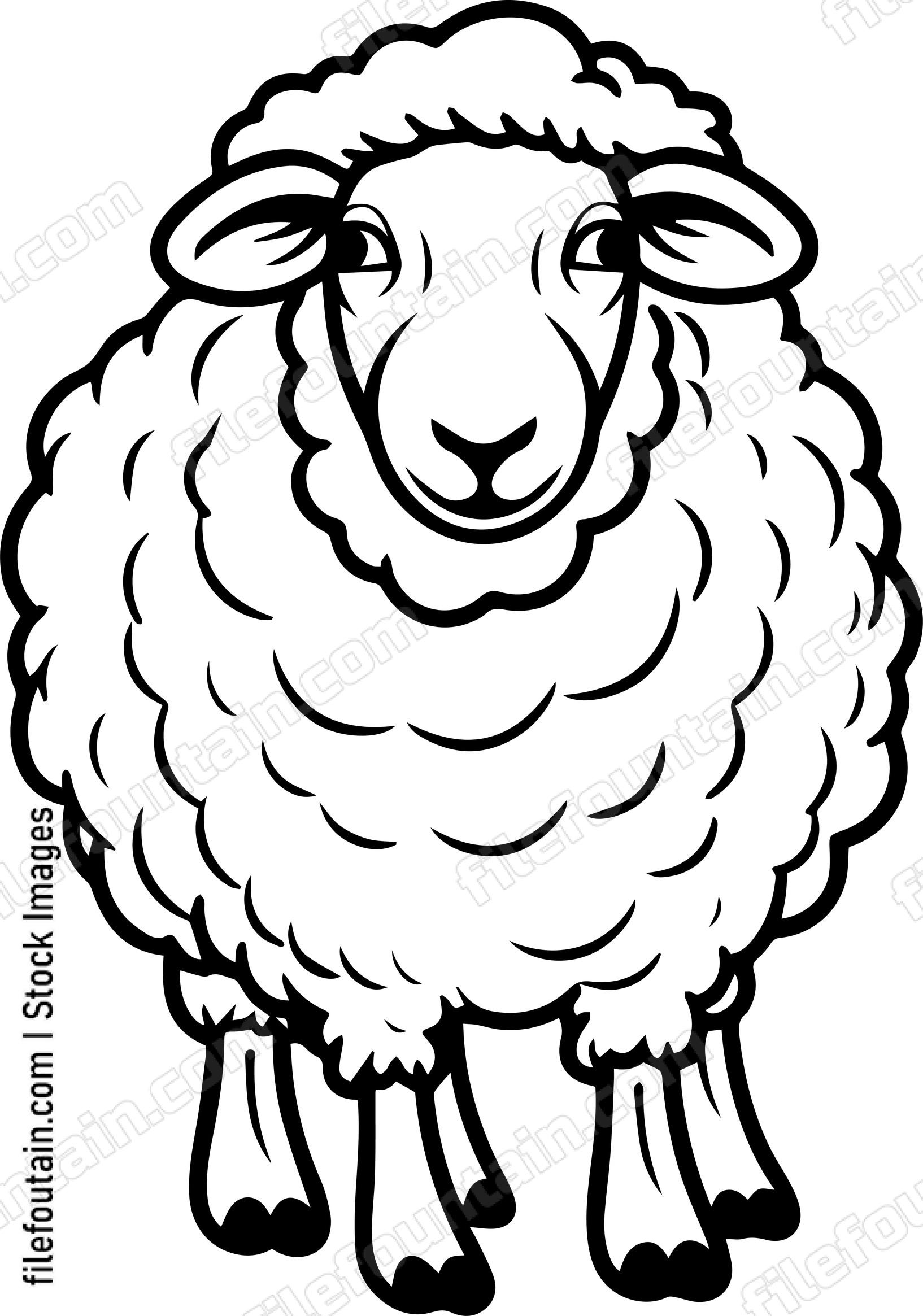 Sheep