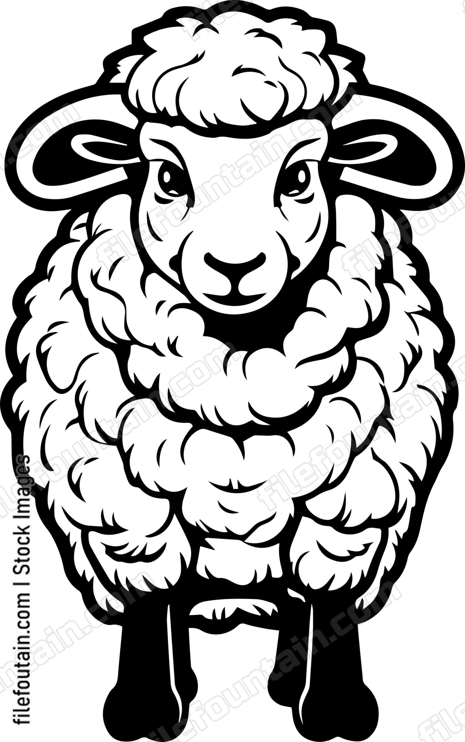 Sheep