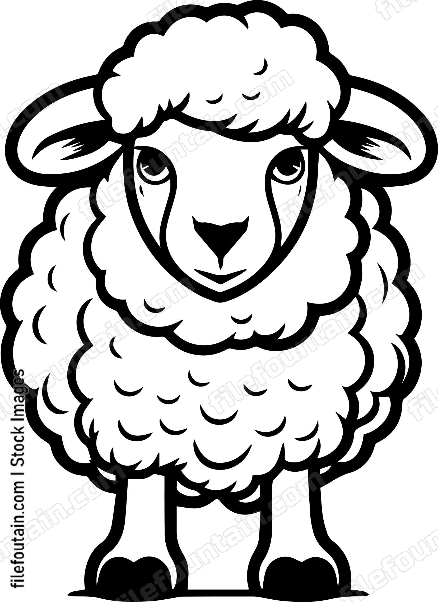Sheep