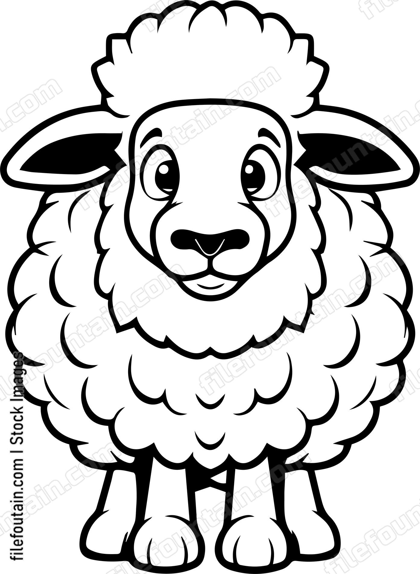 Sheep
