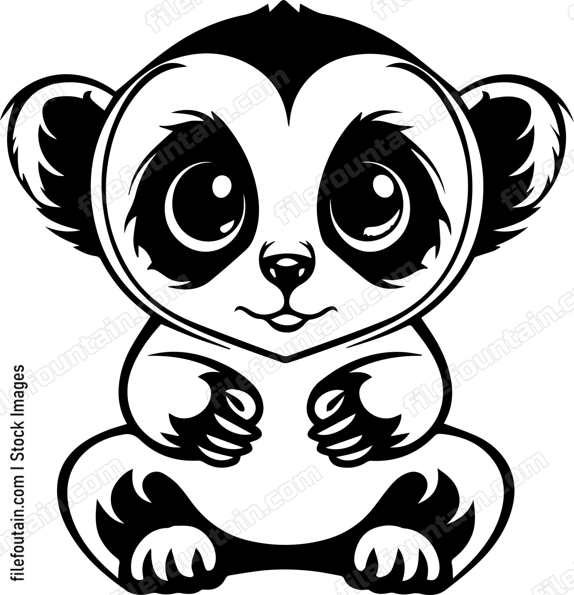 Slow Loris
