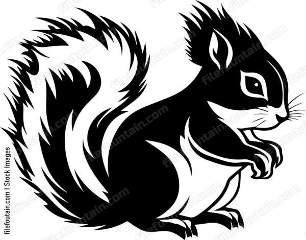 Squirrel