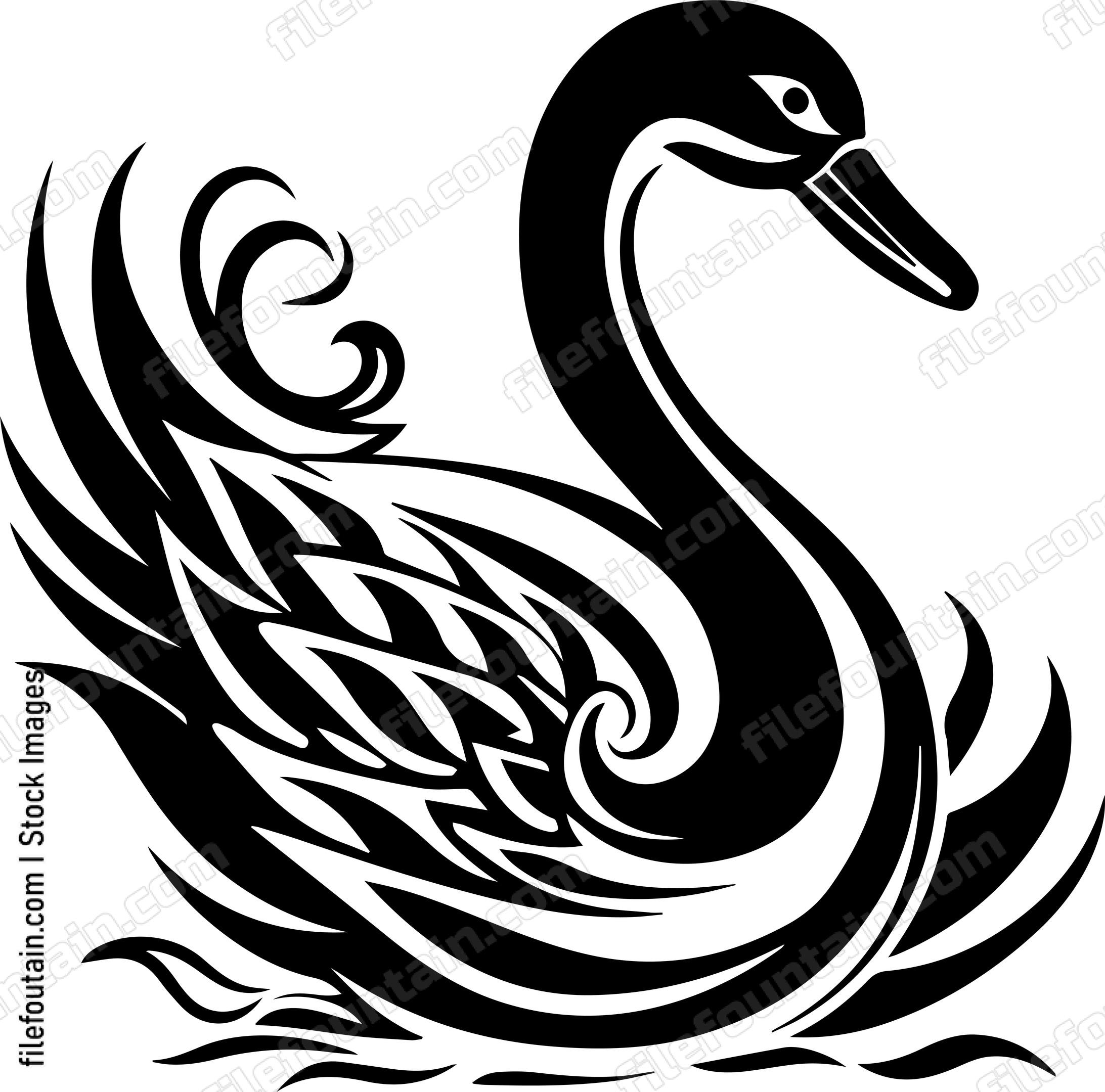 Swan