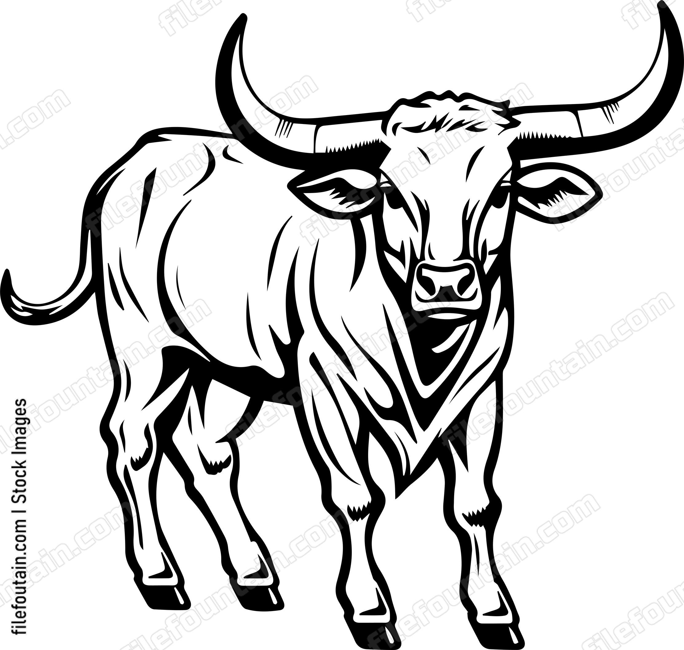 Texas Longhorn
