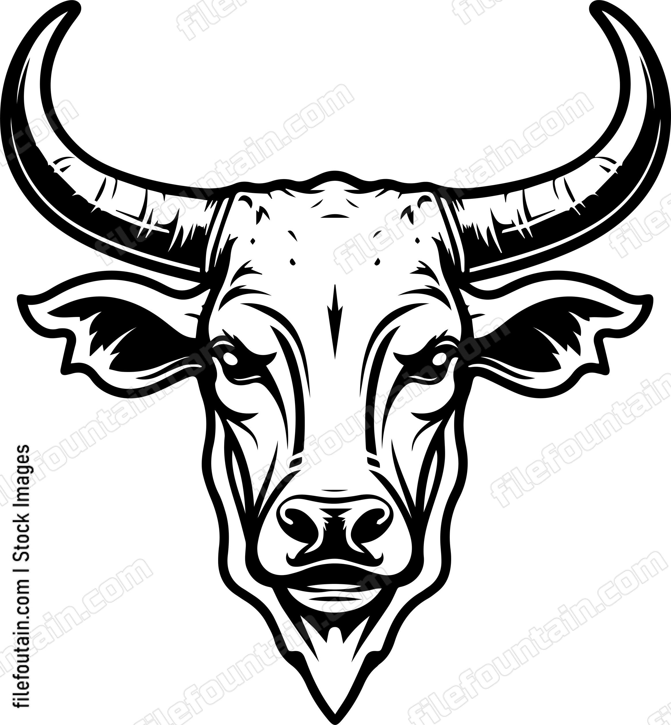Texas Longhorn