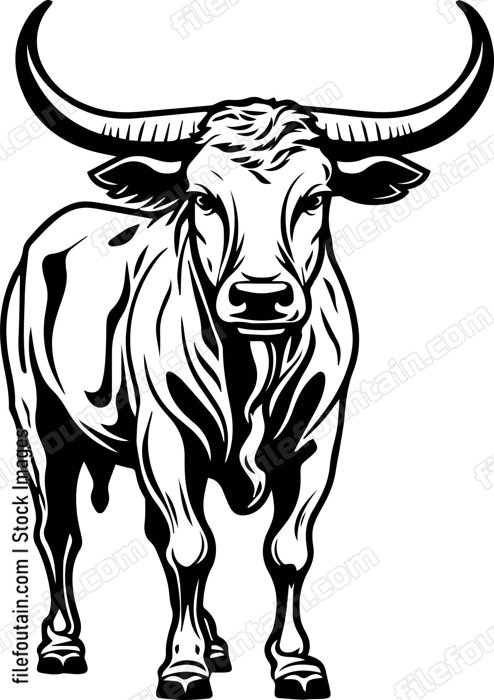 Texas Longhorn