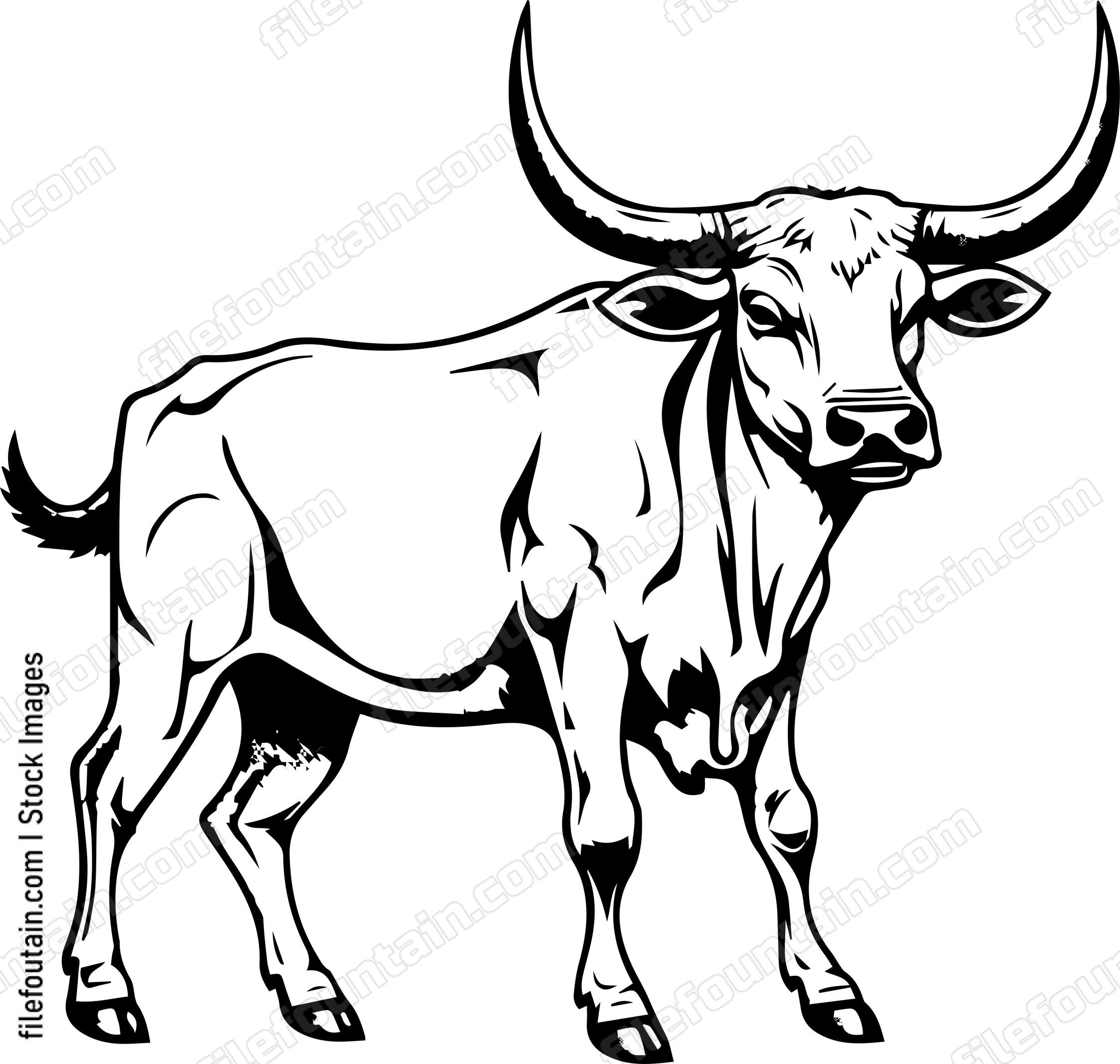 Texas Longhorn