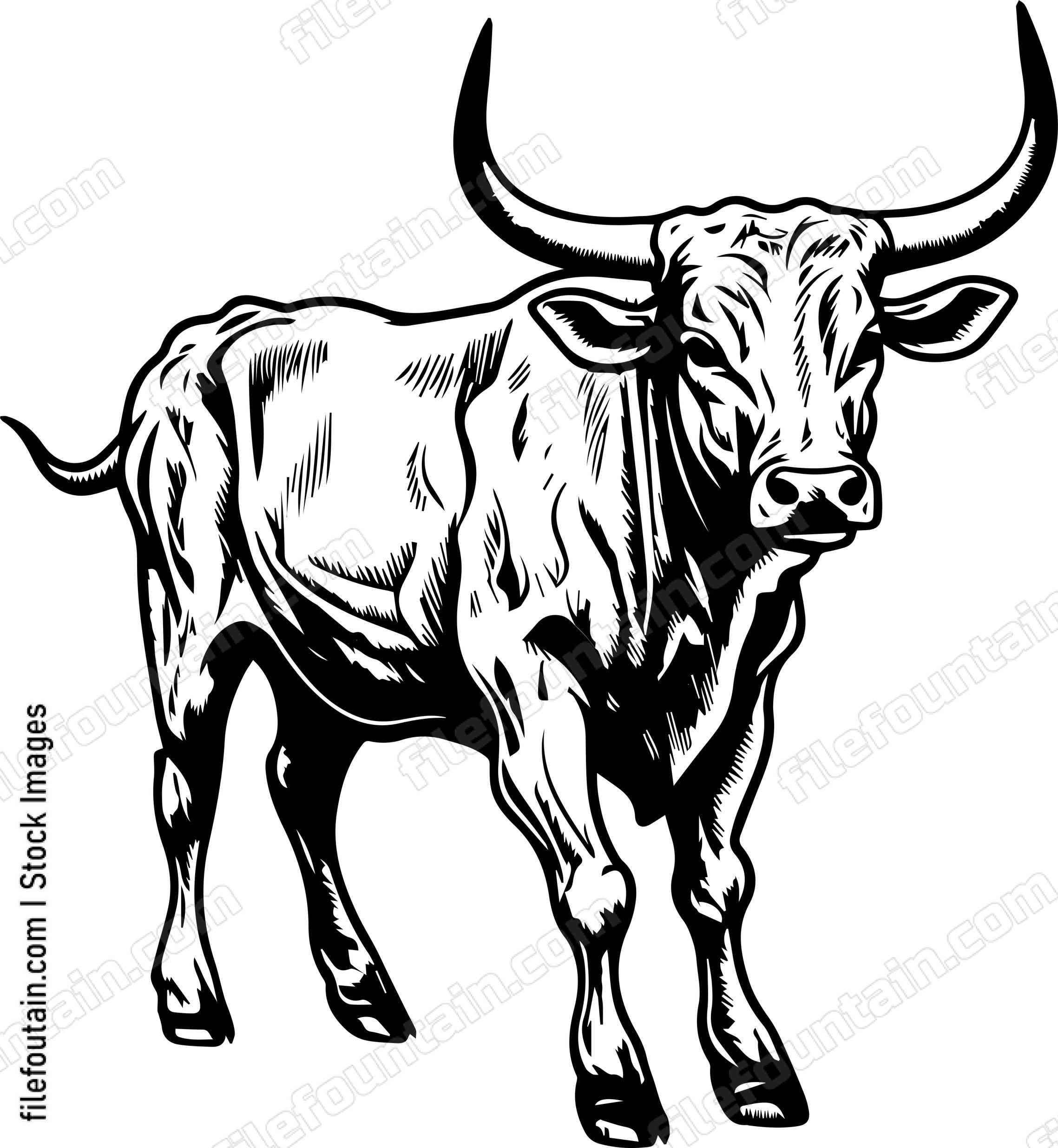 Texas Longhorn