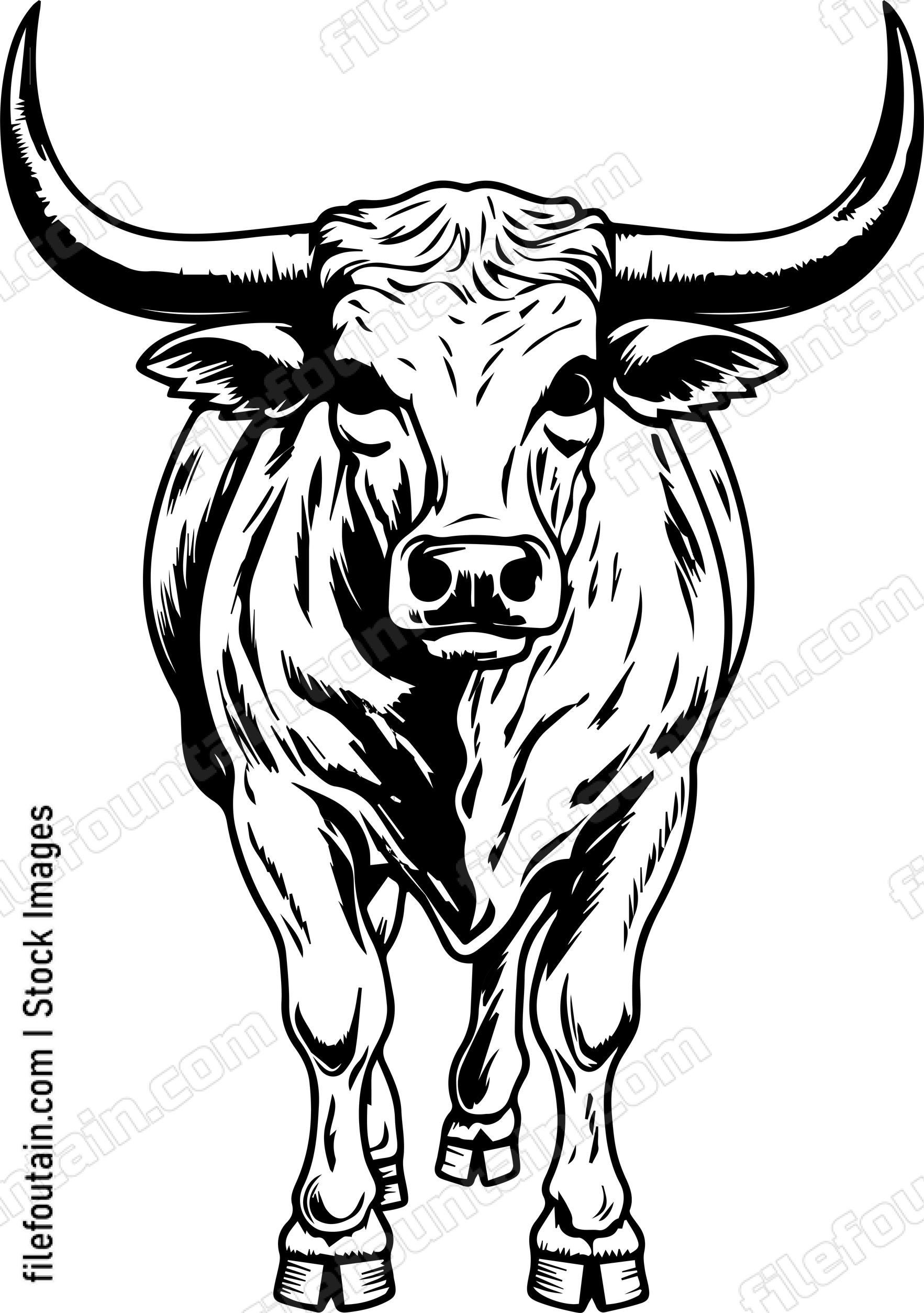 Texas Longhorn