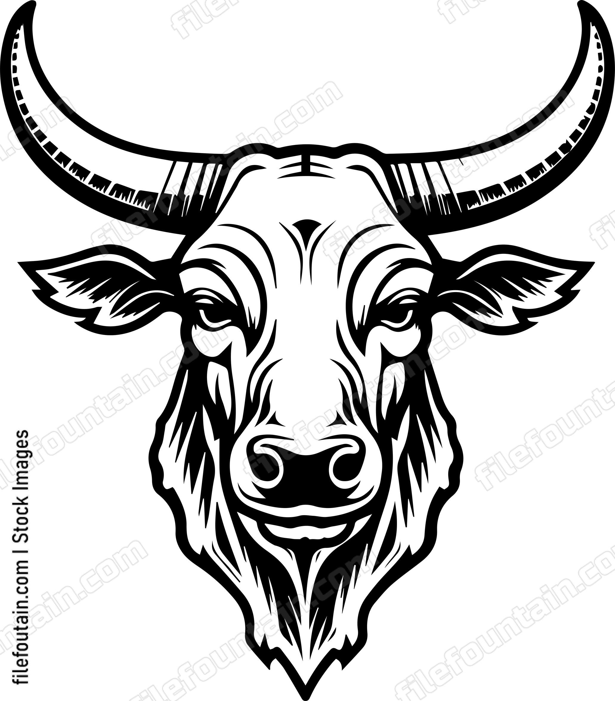 Texas Longhorn