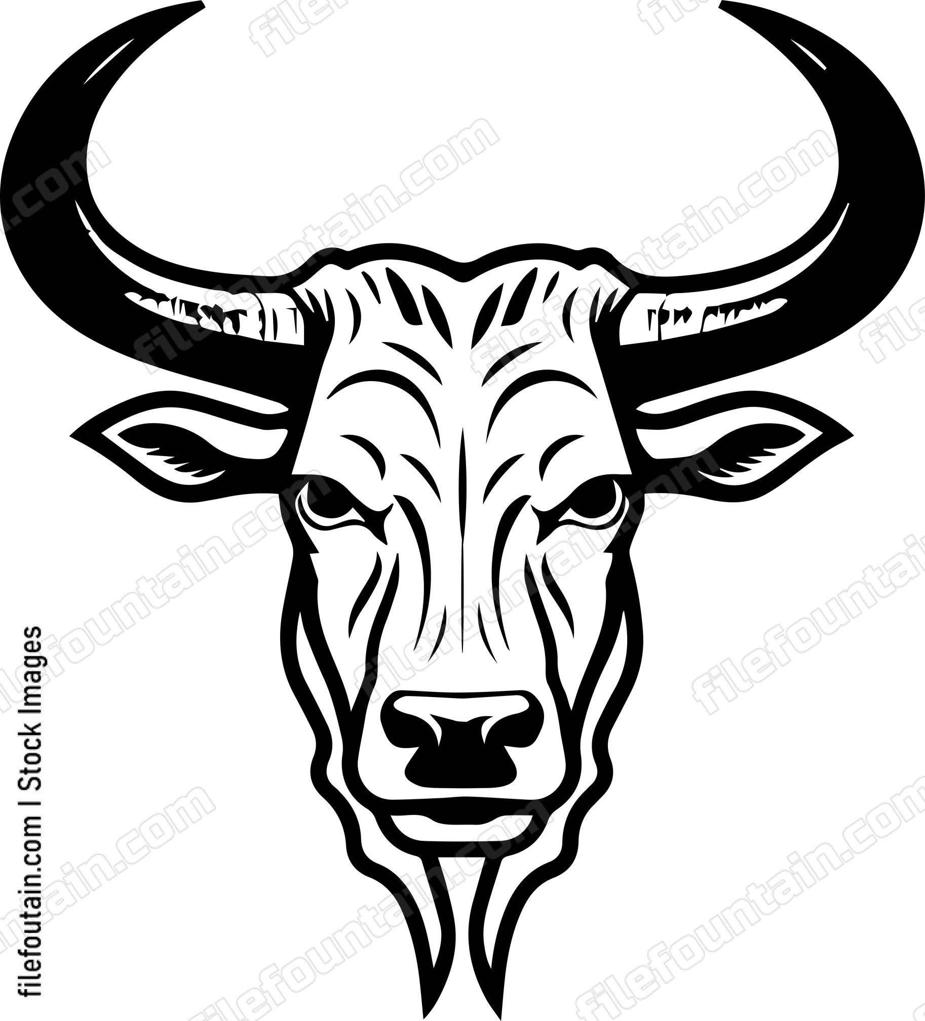 Texas Longhorn