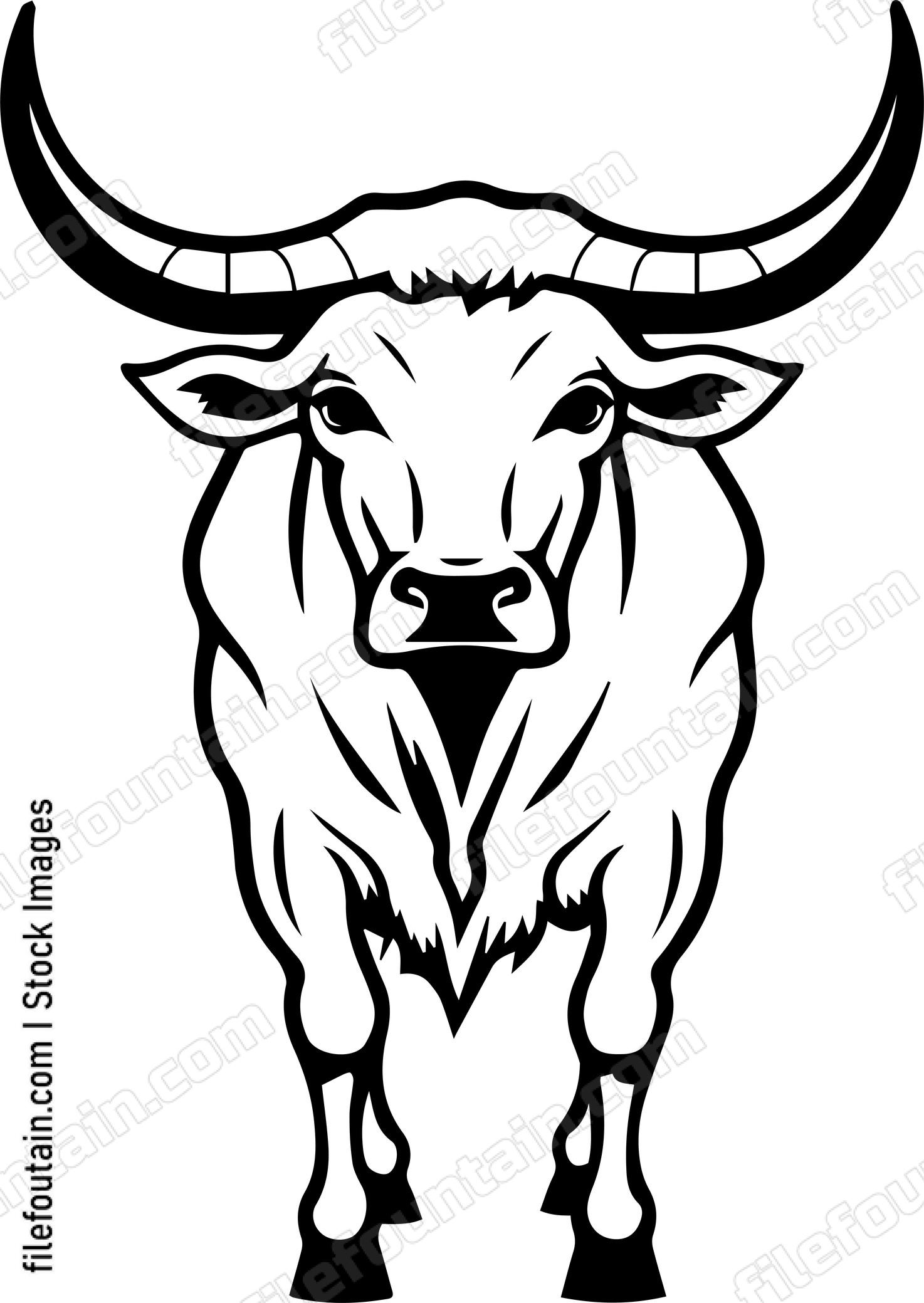 Texas Longhorn