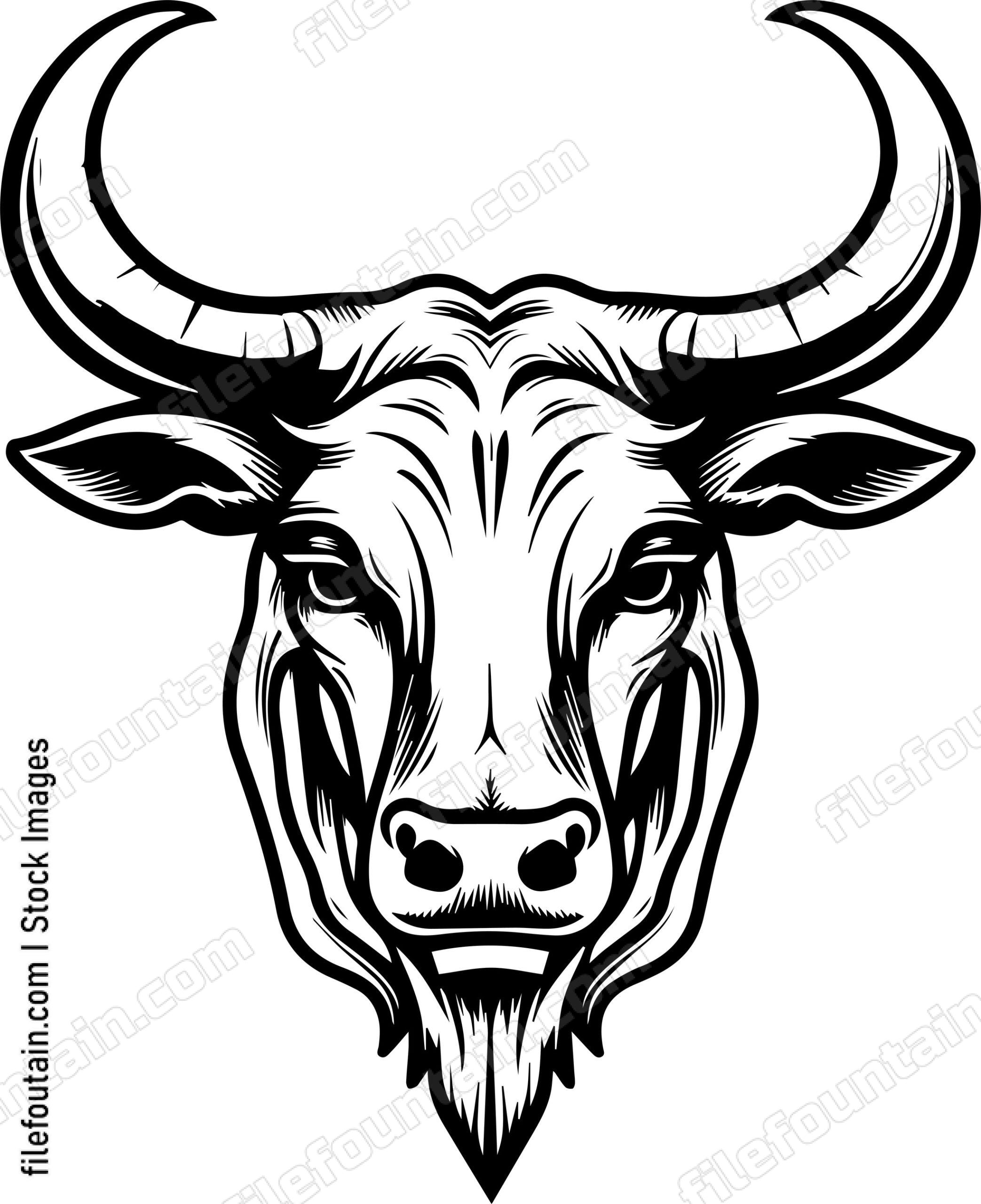 Texas Longhorn