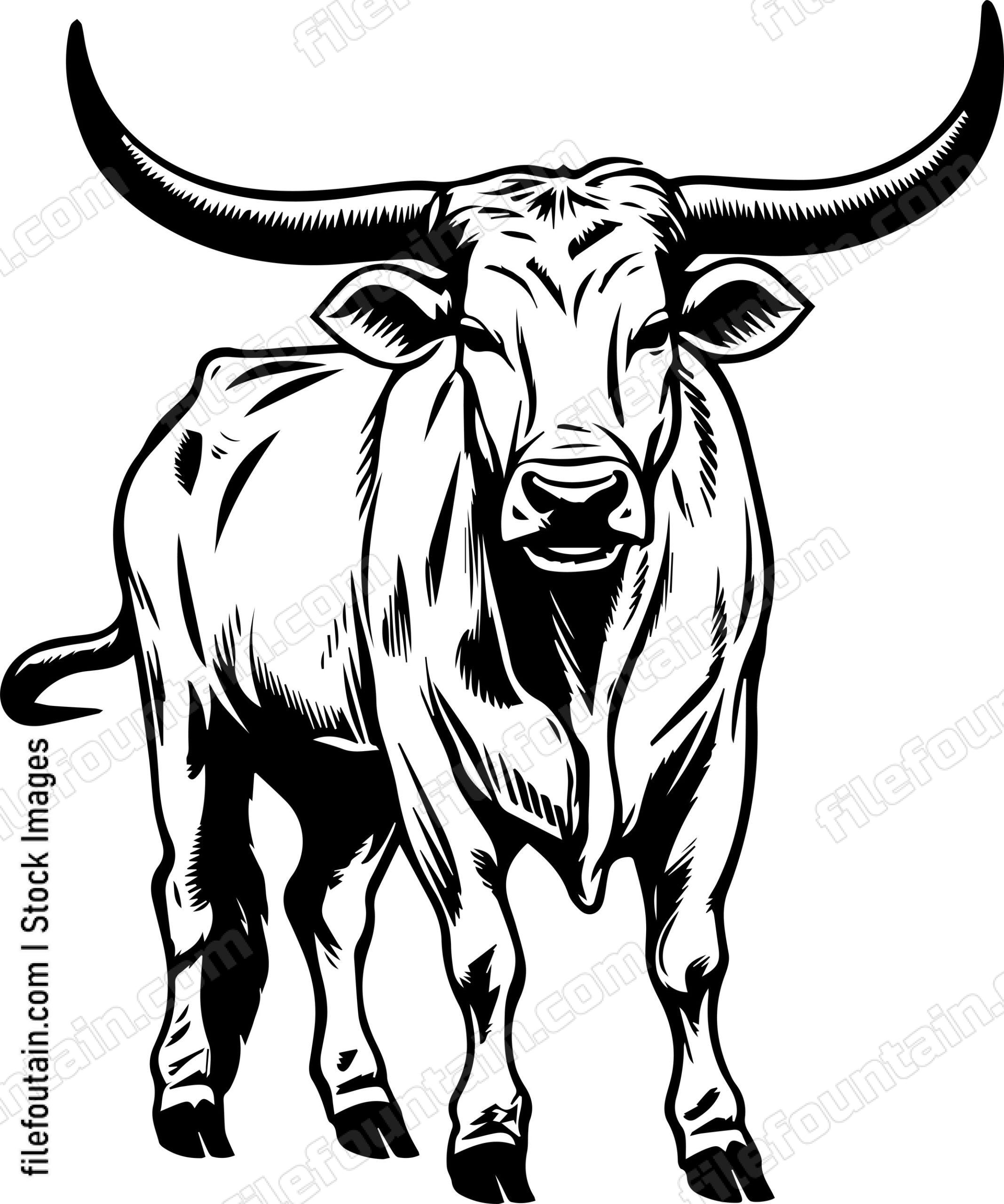 Texas Longhorn