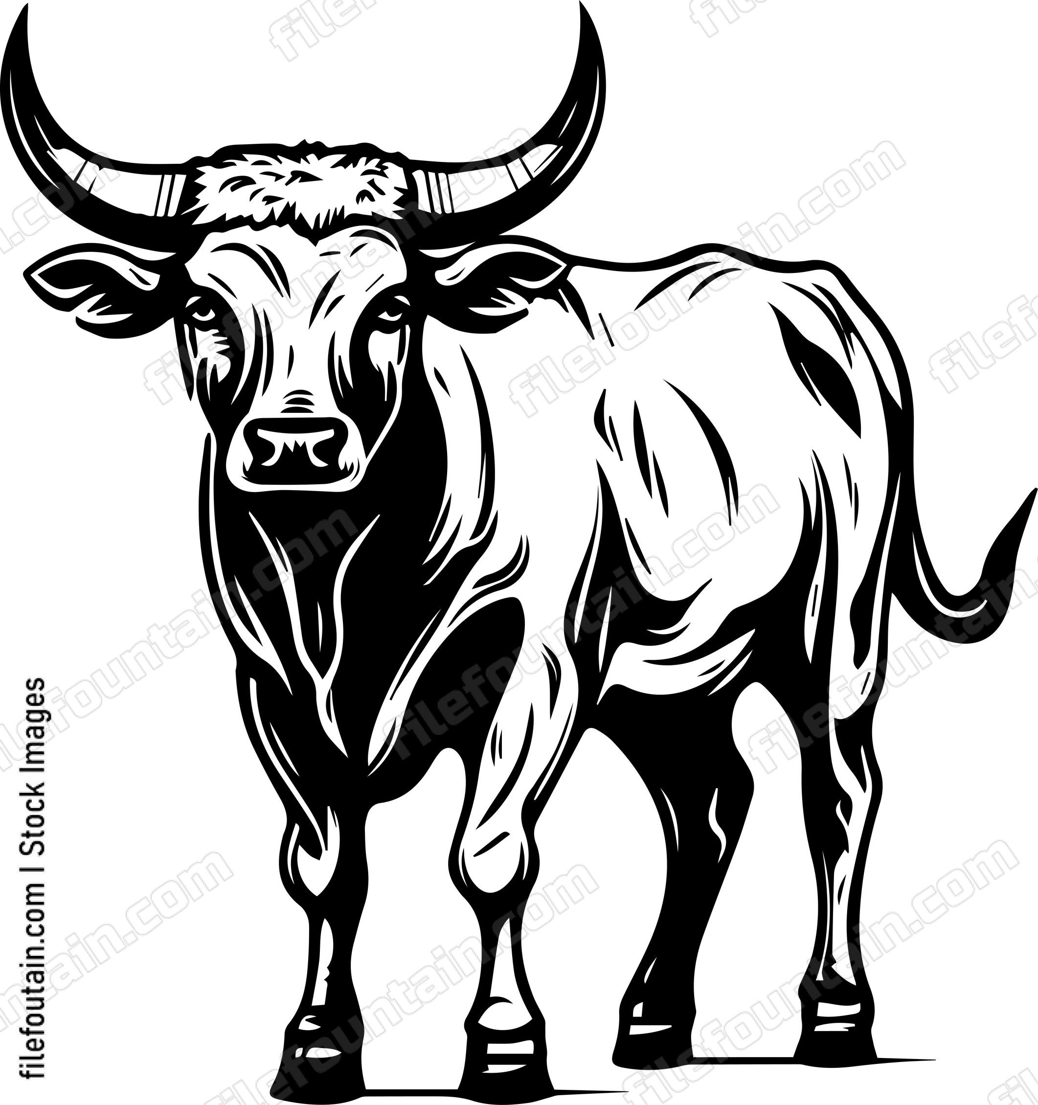 Texas Longhorn