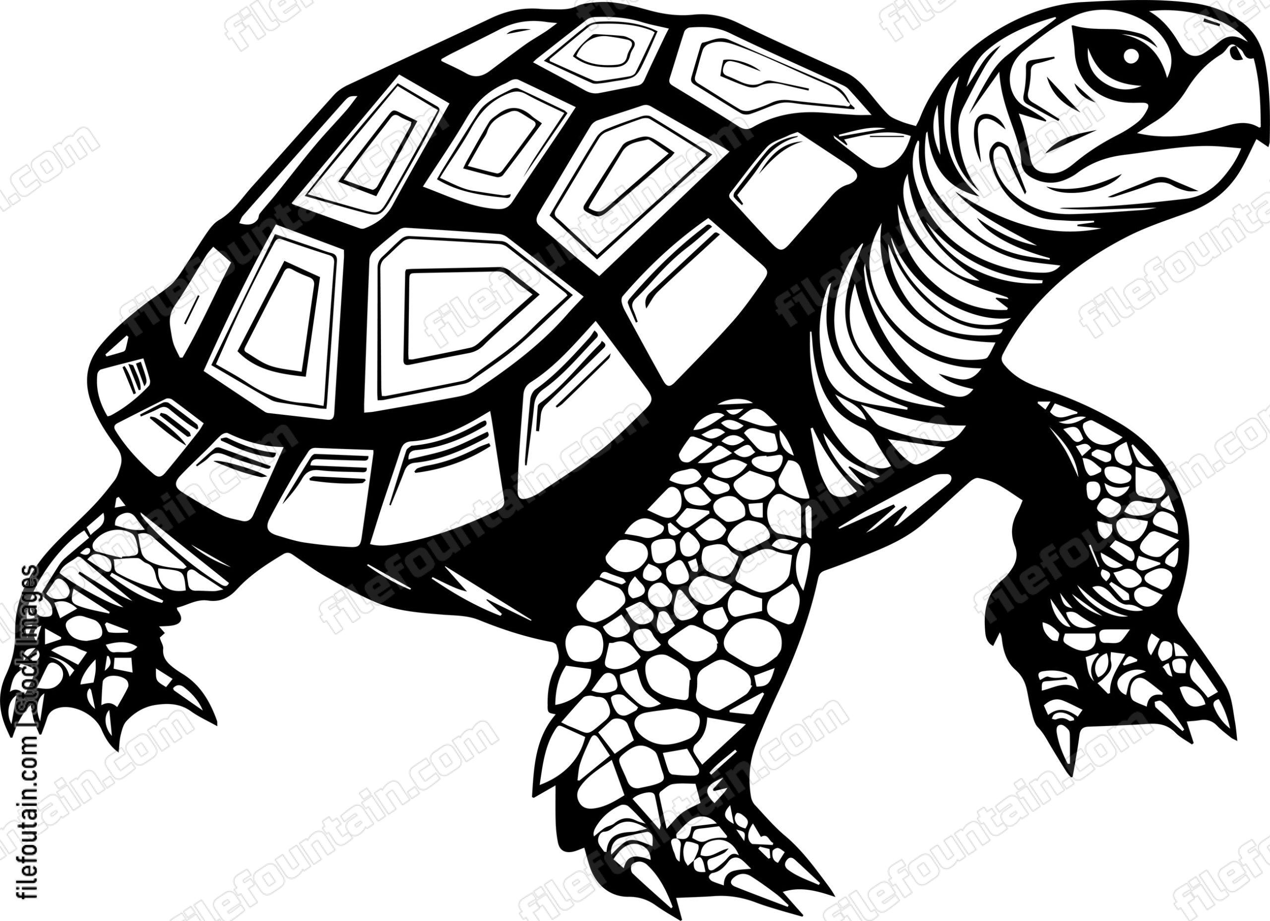 Turtle