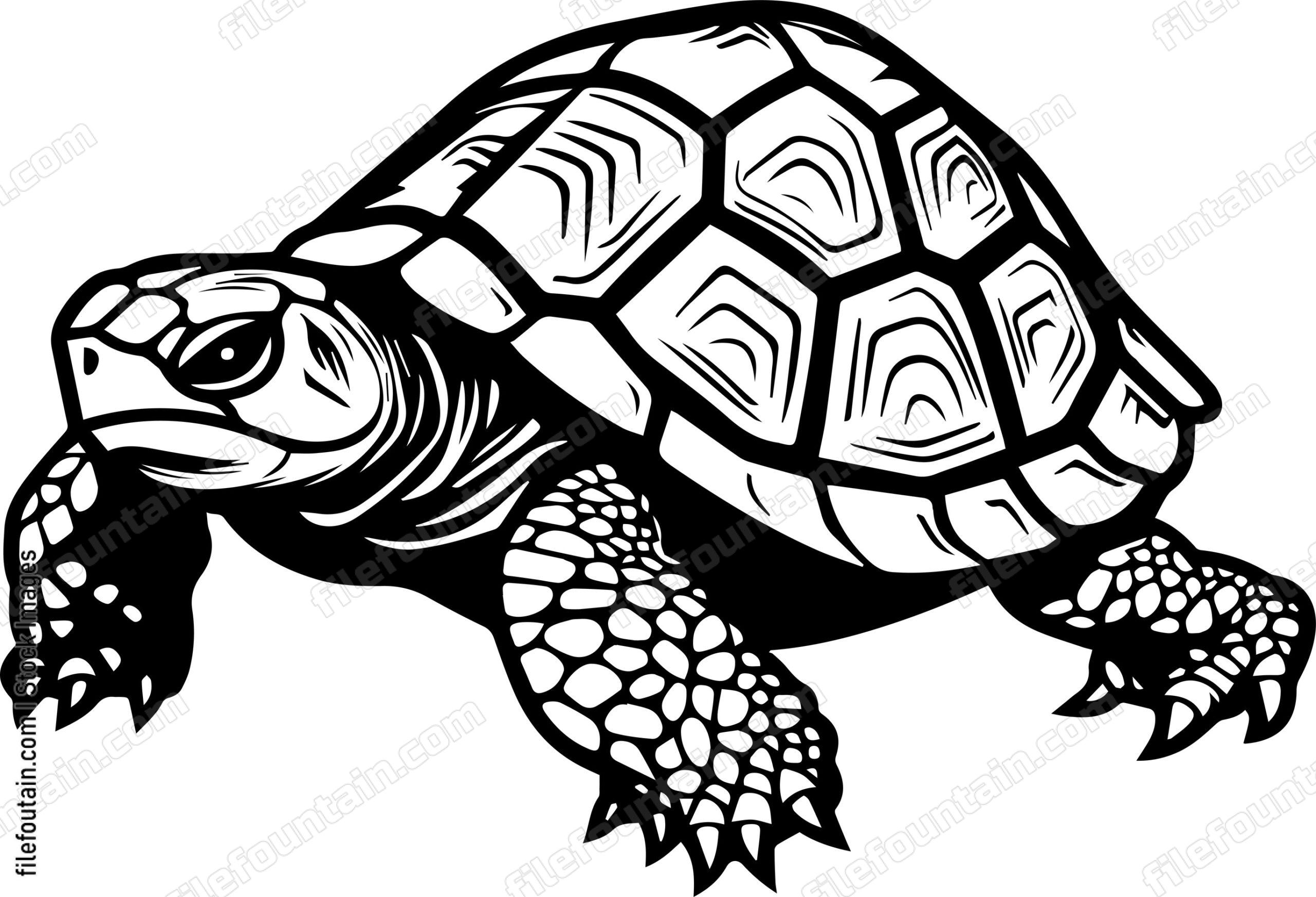 Turtle