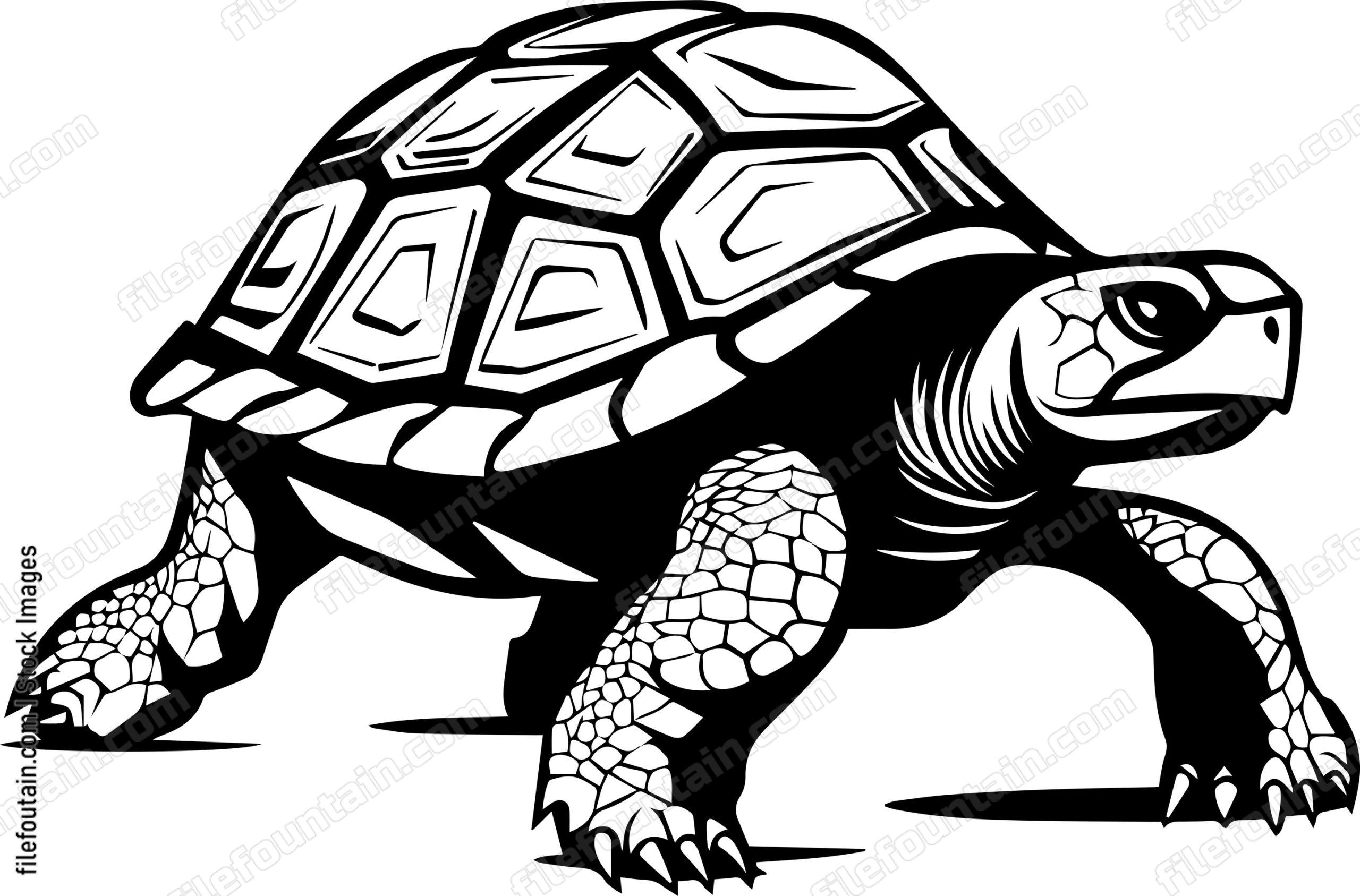 Turtle
