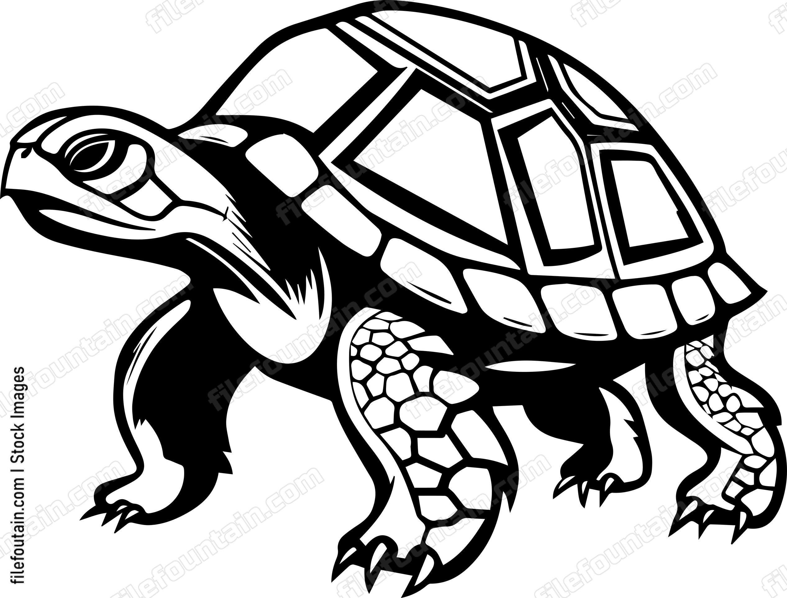 Turtle