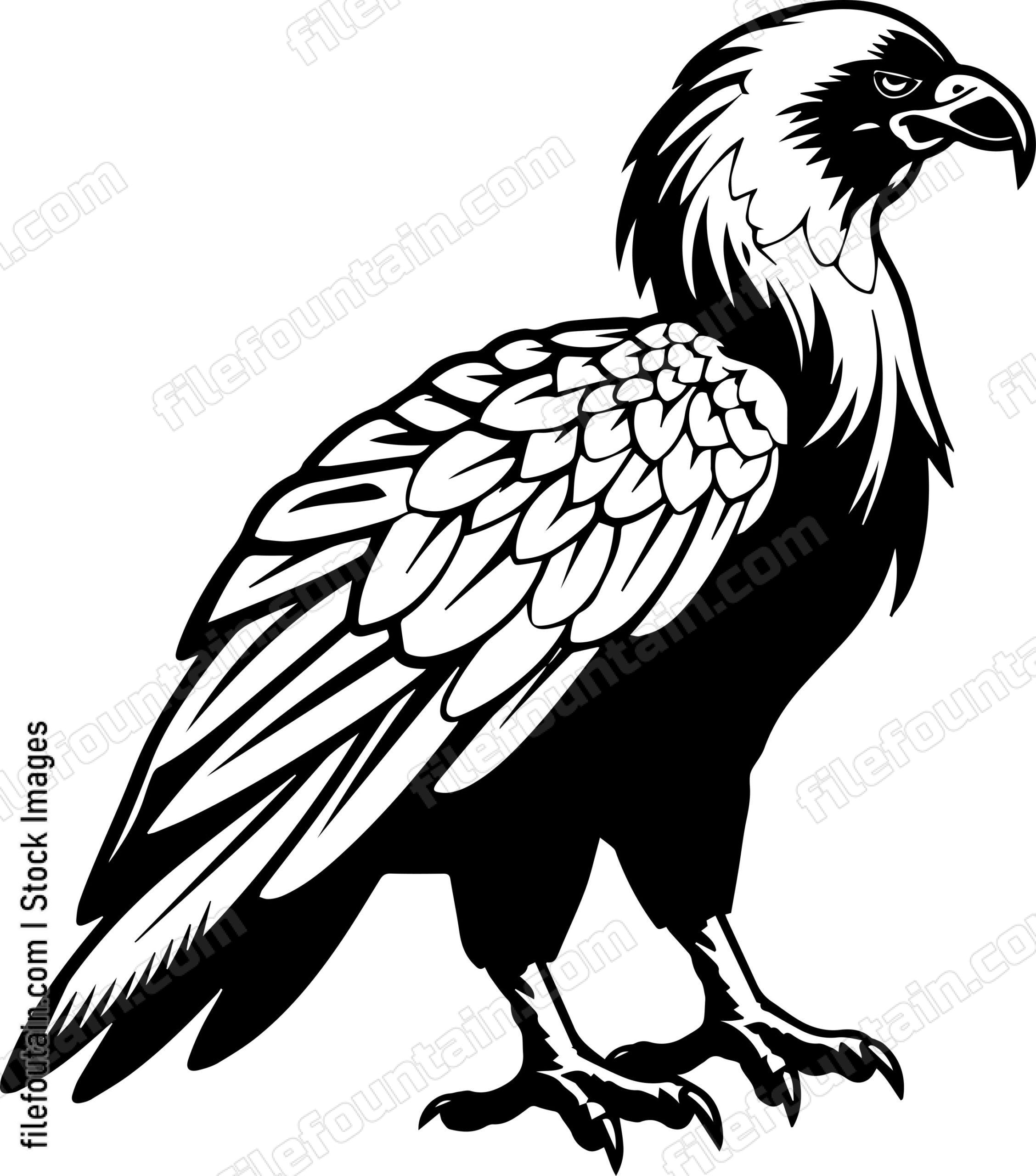 Vulture