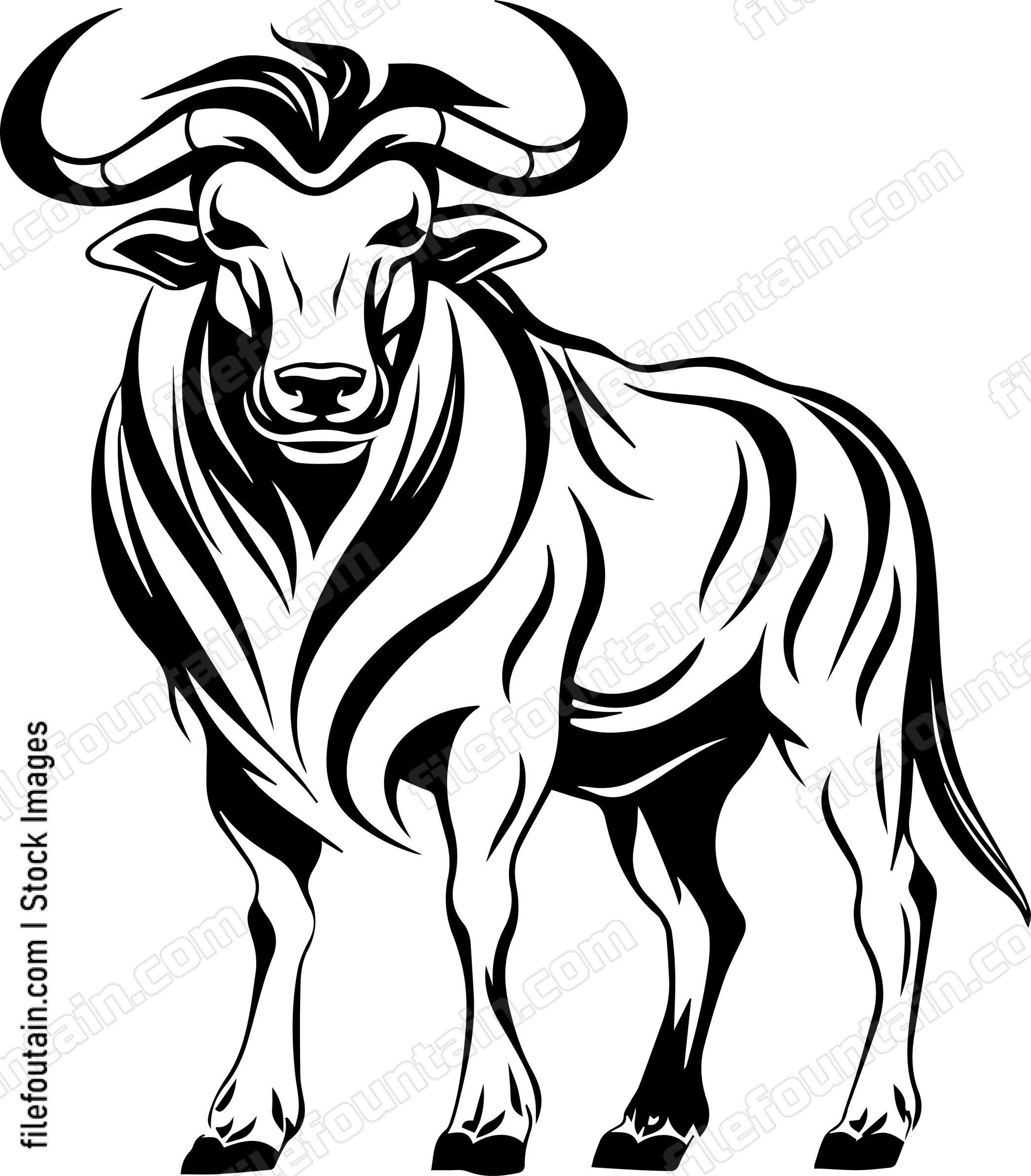 Wildebeest