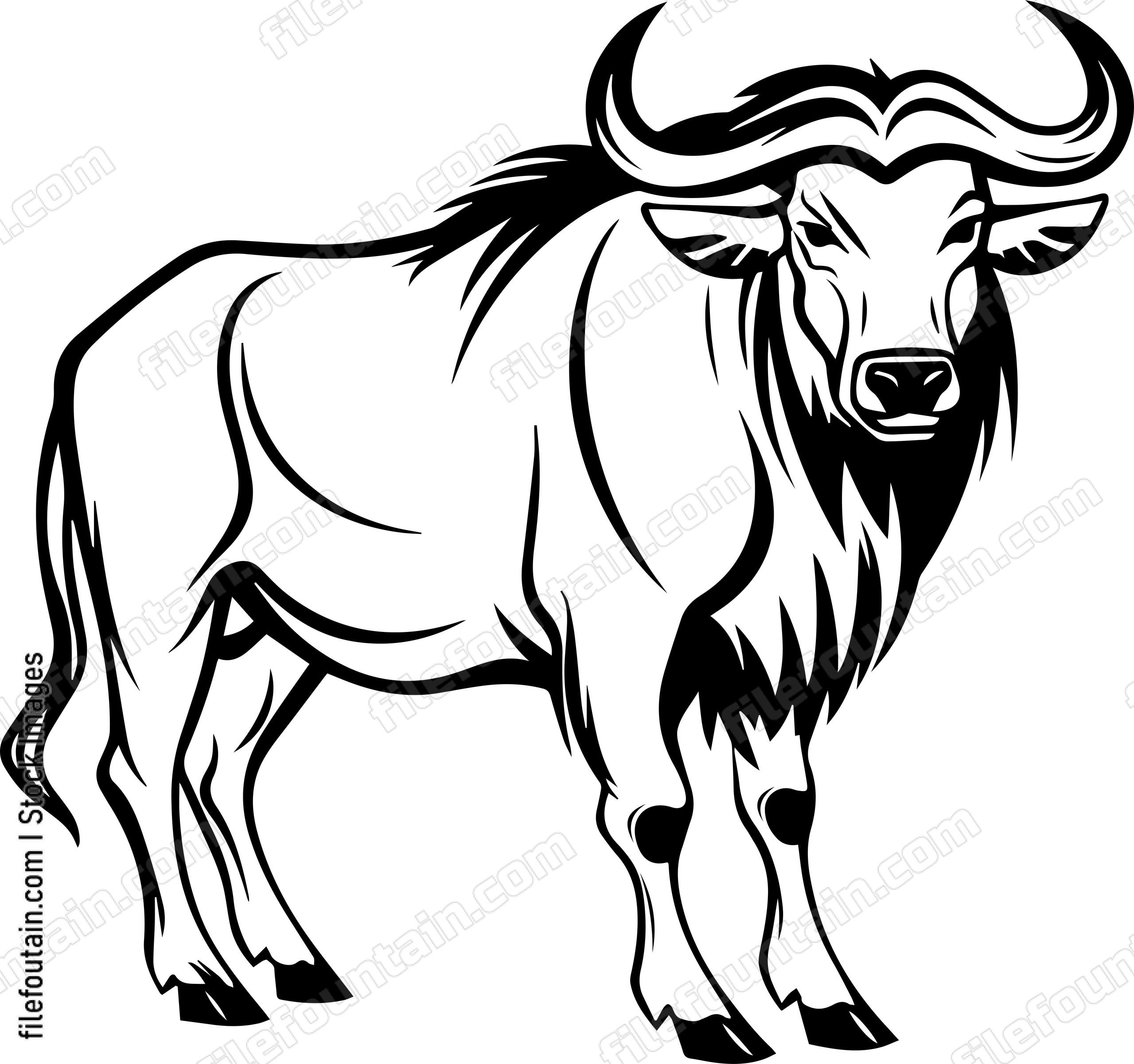 Wildebeest