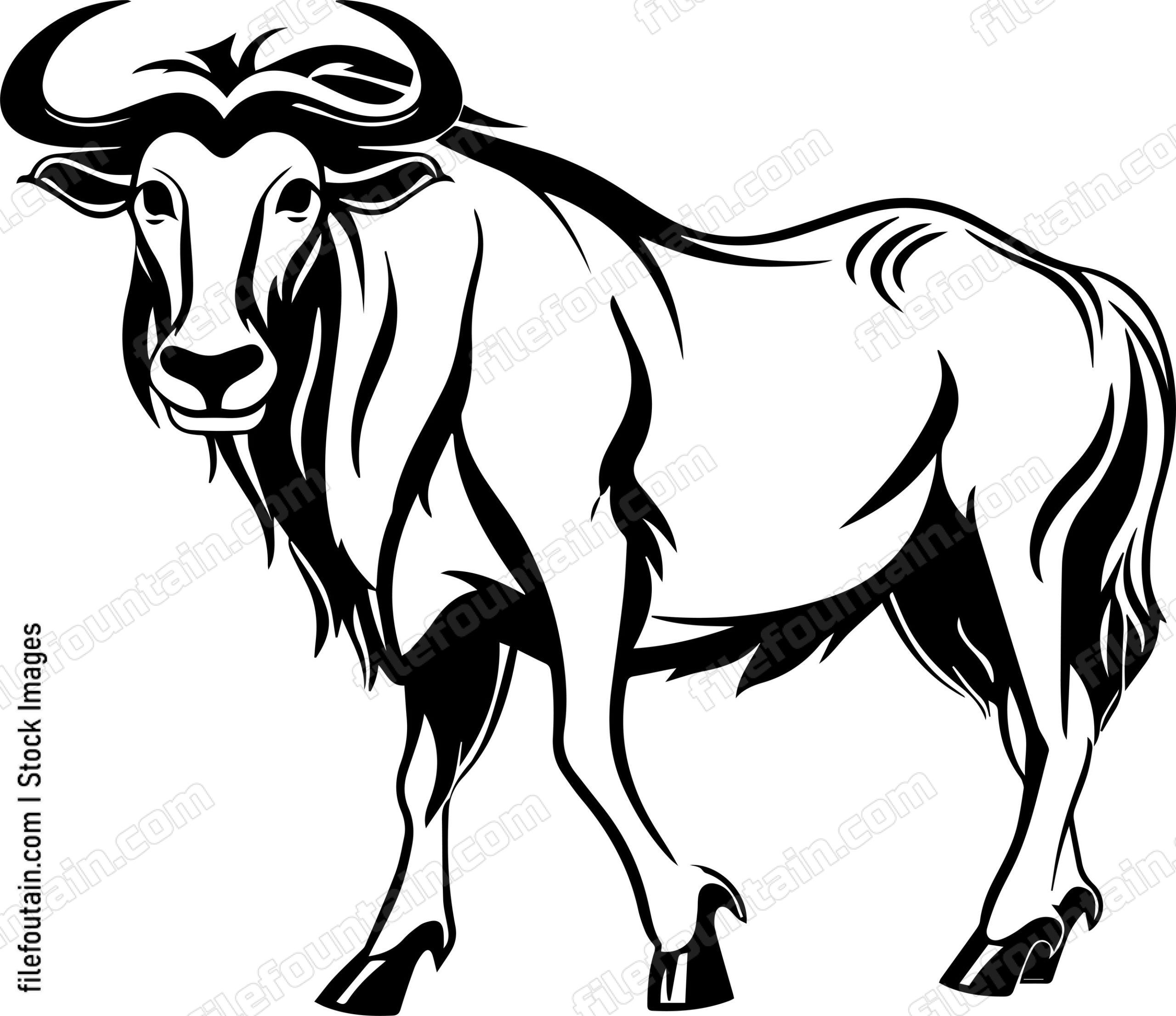 Wildebeest