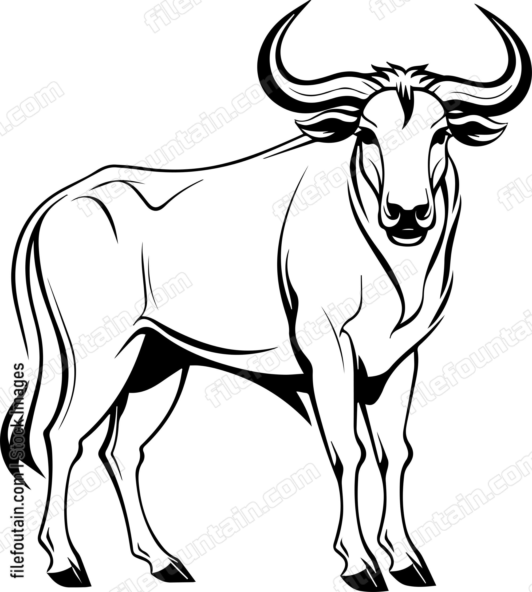 Wildebeest