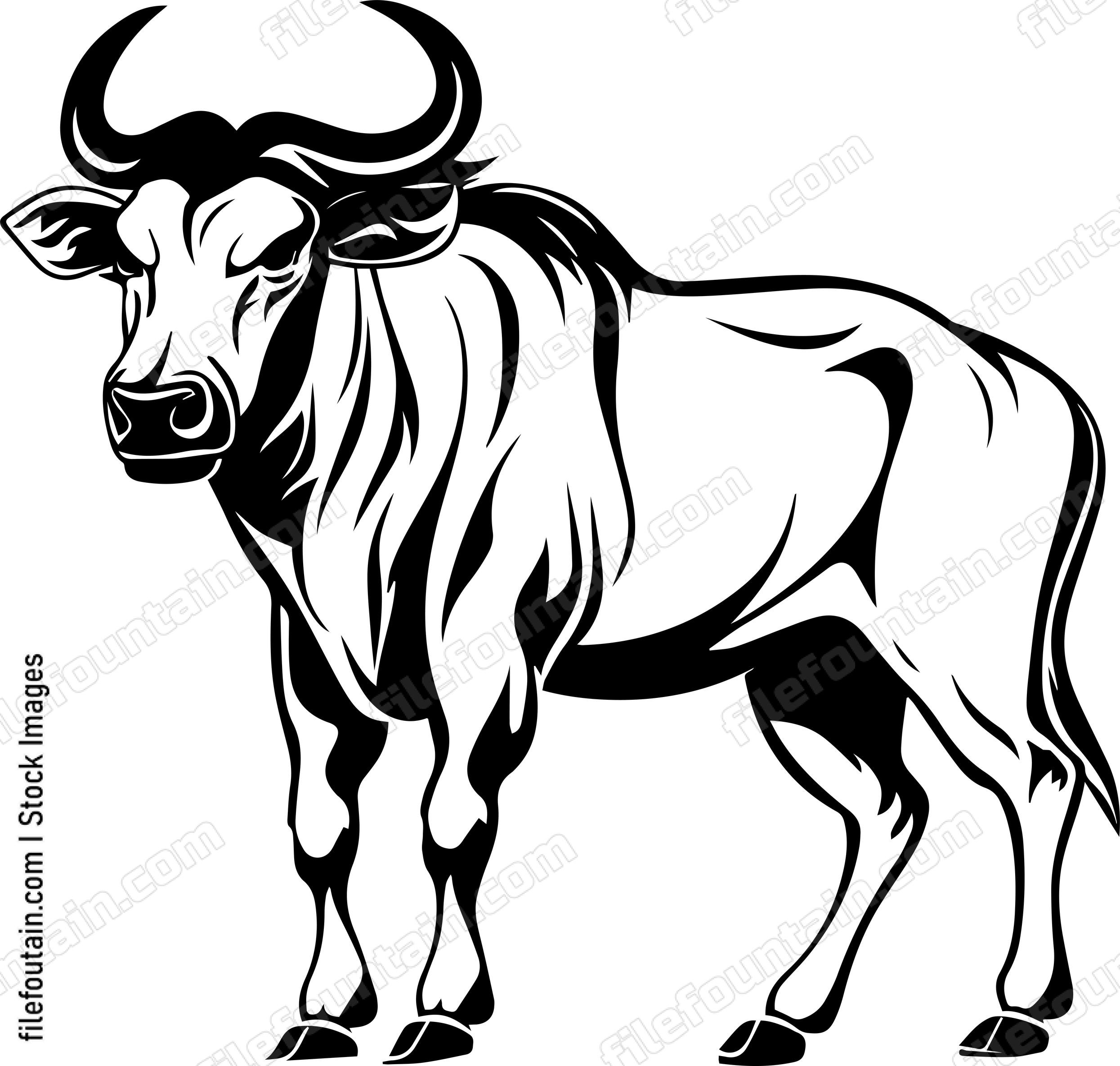 Wildebeest