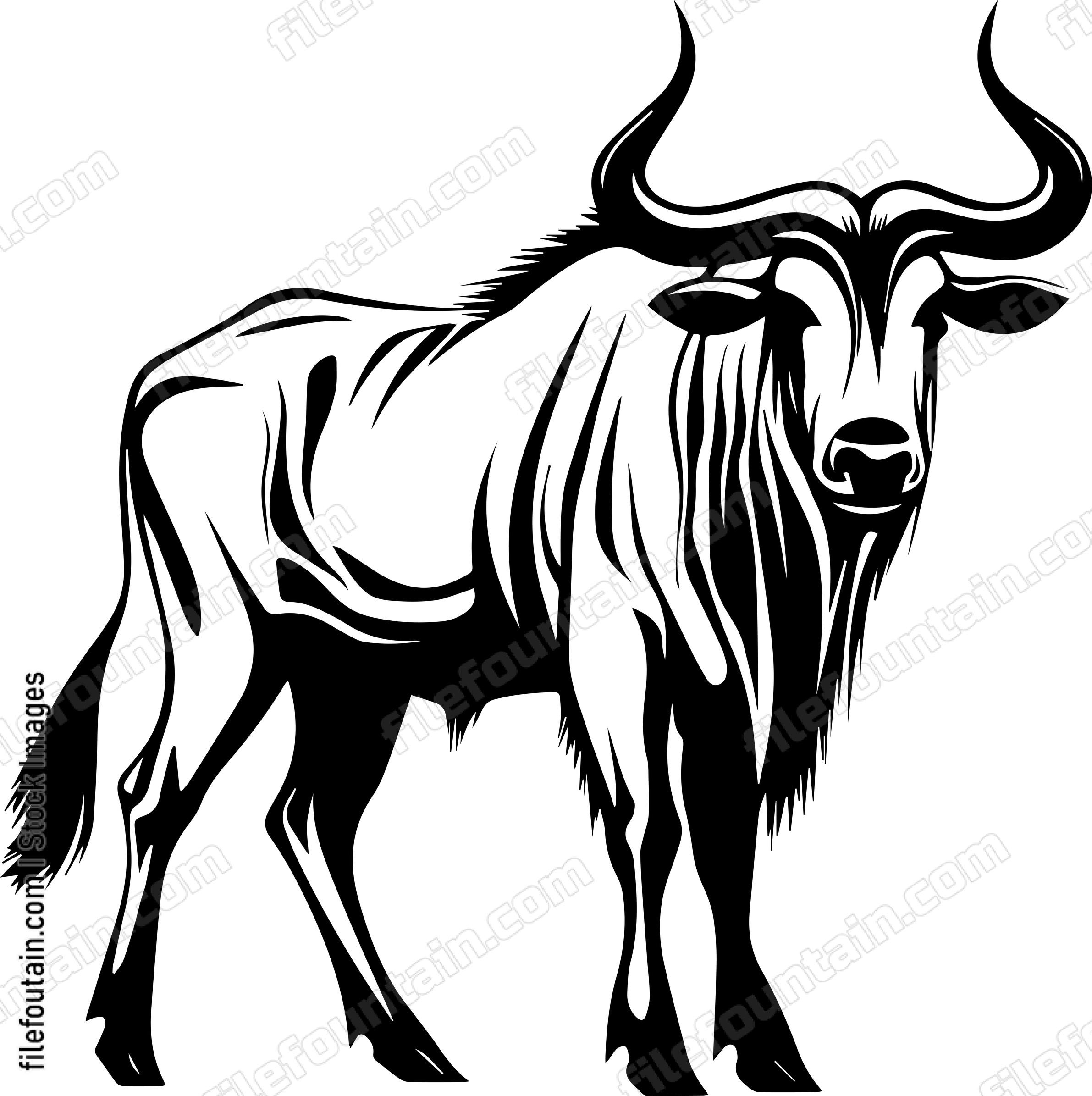 Wildebeest