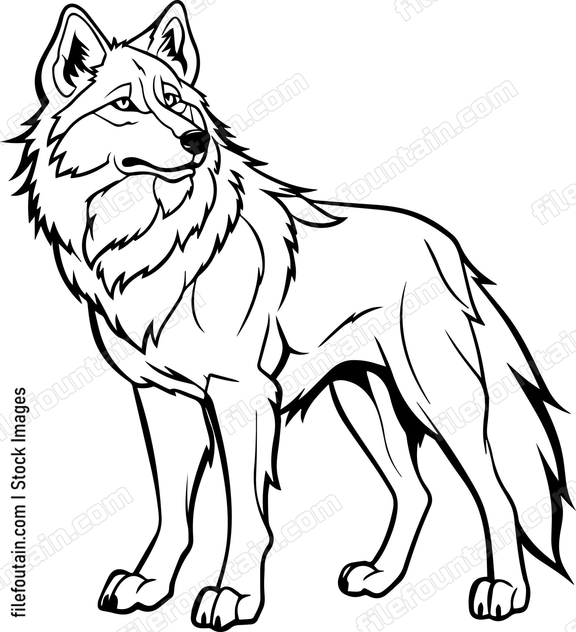 Wolf