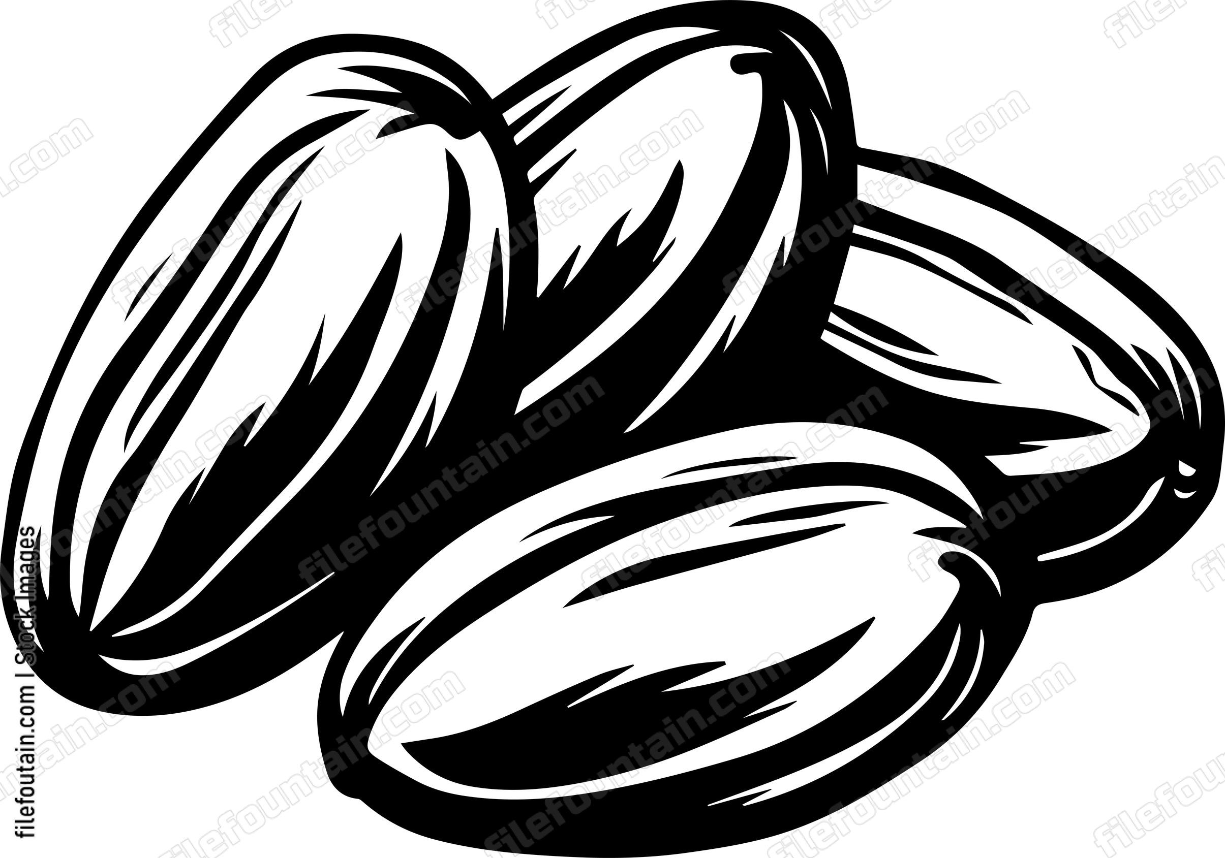Cocoa Beans