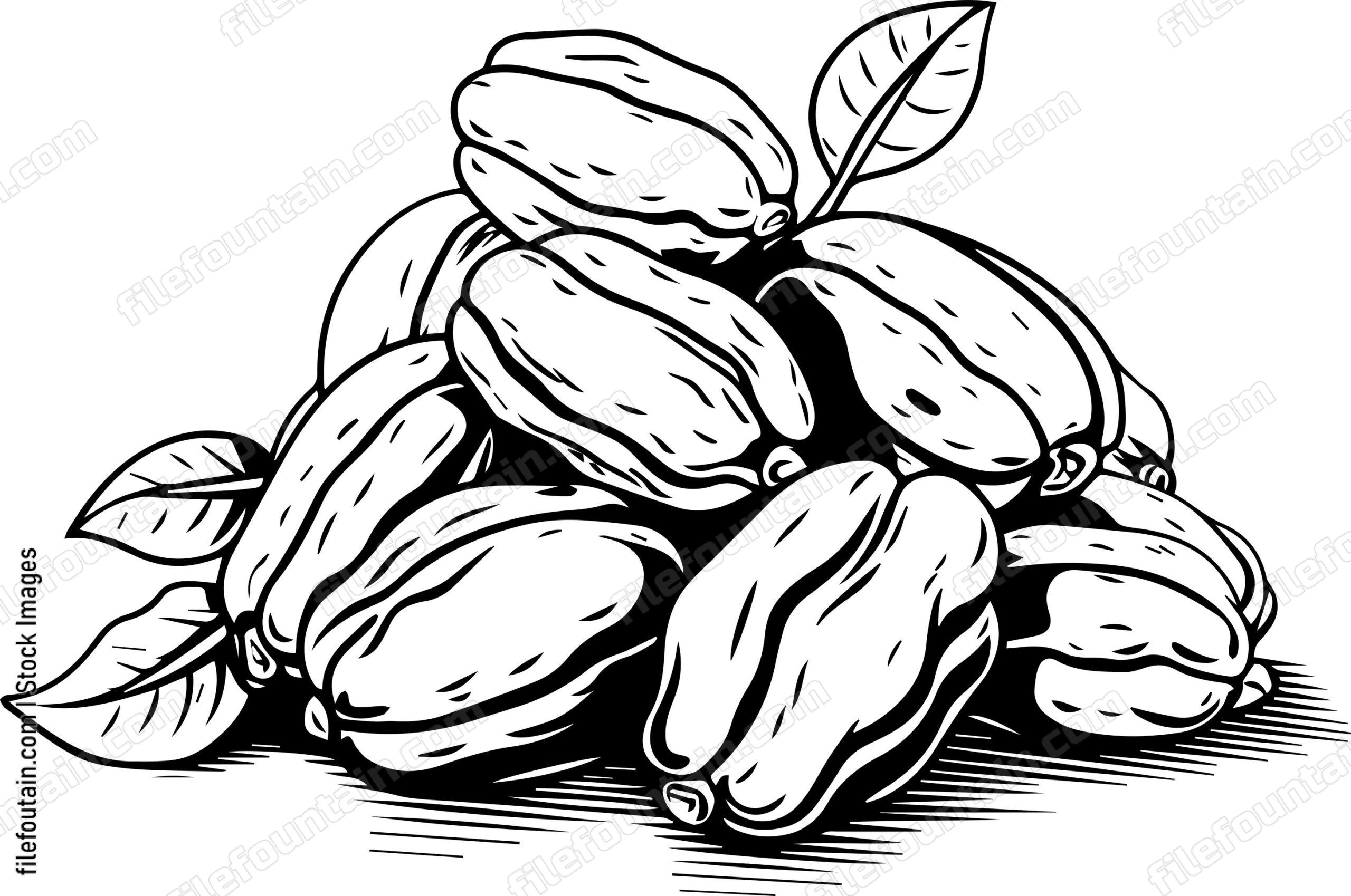 Cocoa Beans