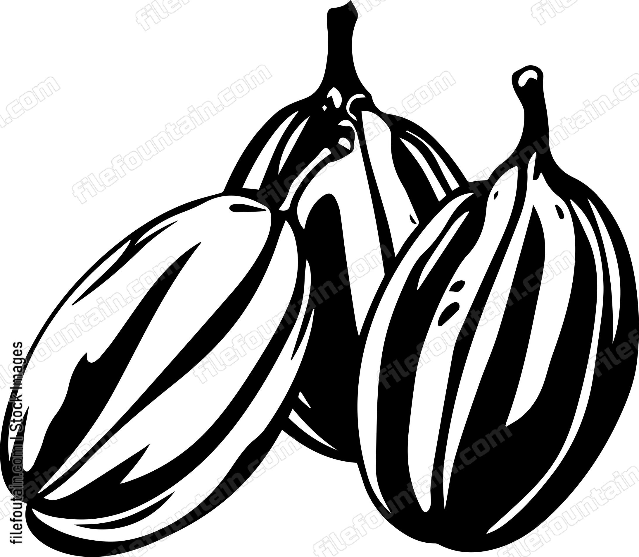 Cocoa Beans