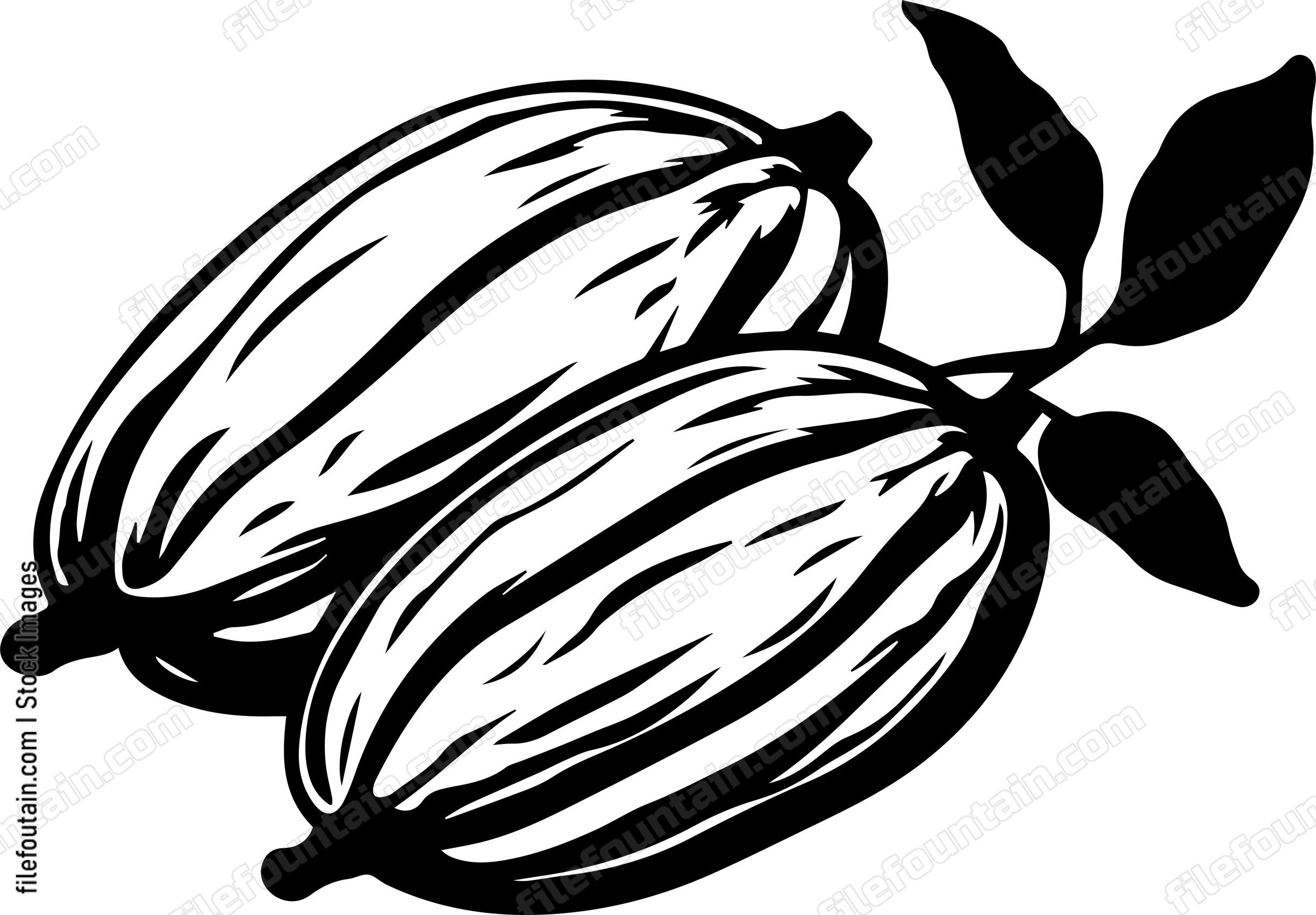 Cocoa Beans
