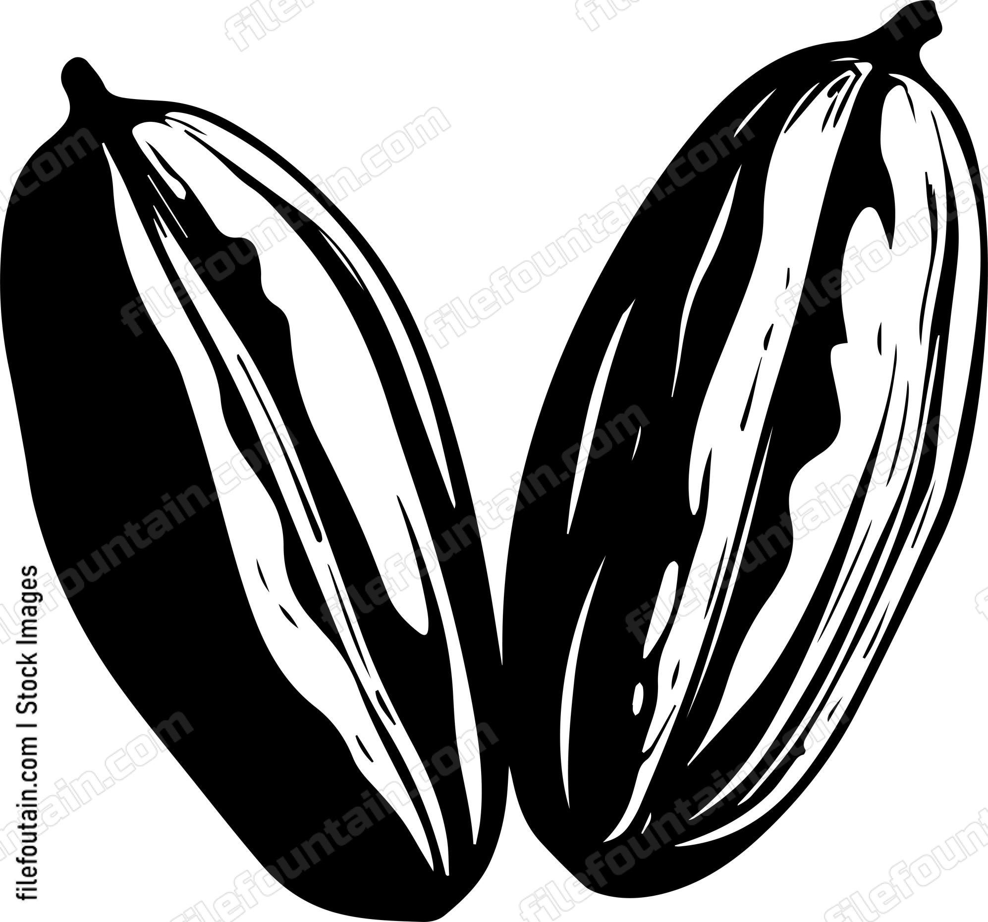 Cocoa Beans